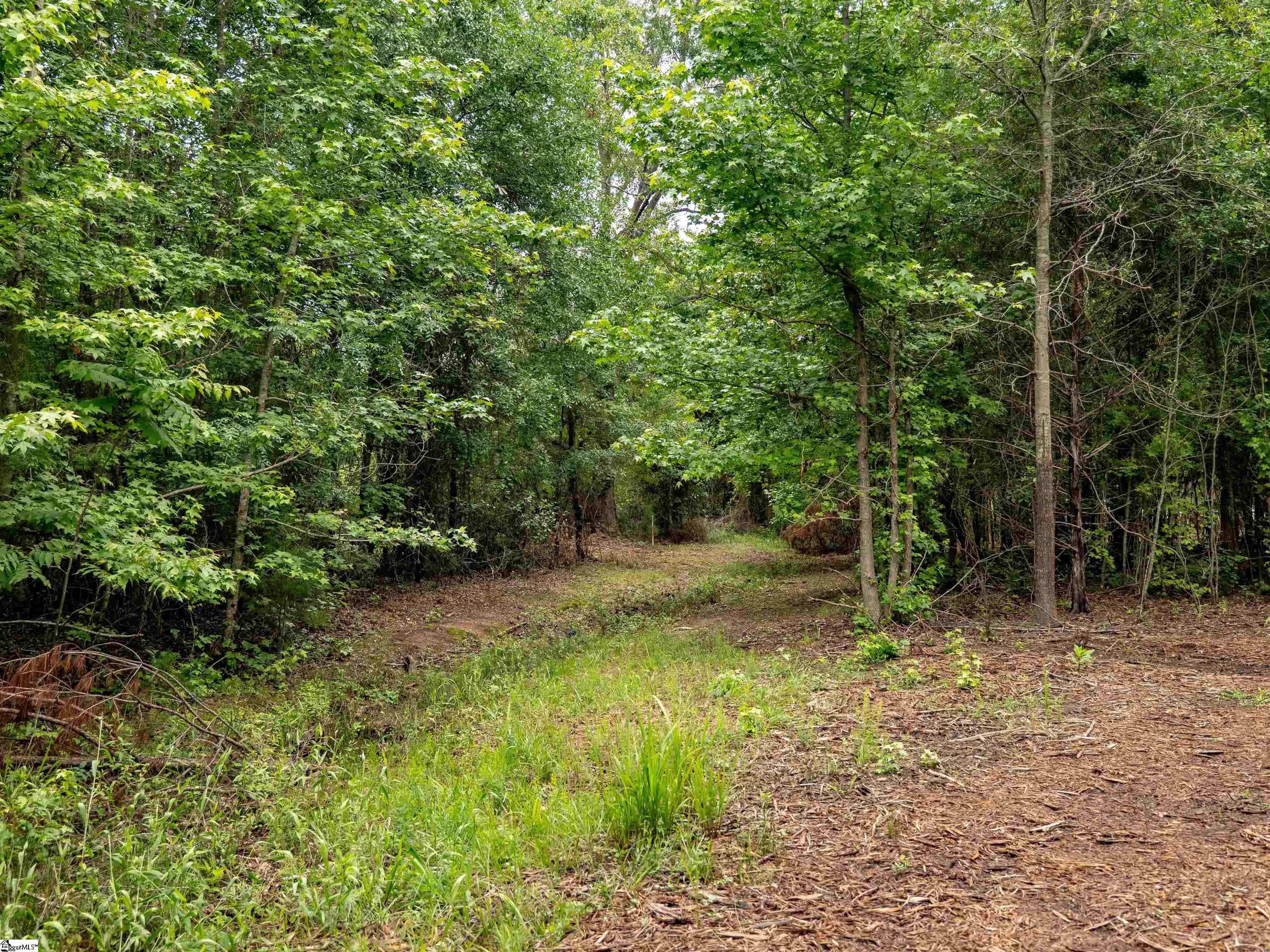 00 Terry Road UNIT Lot 4 Fountain Inn, SC 29644