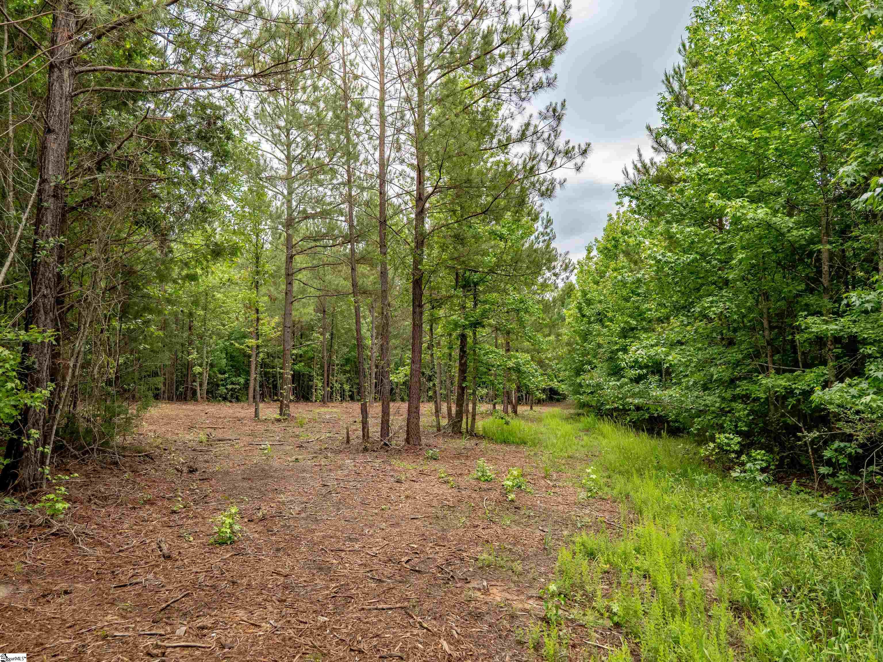 00 Terry Road UNIT Lot 4 Fountain Inn, SC 29644