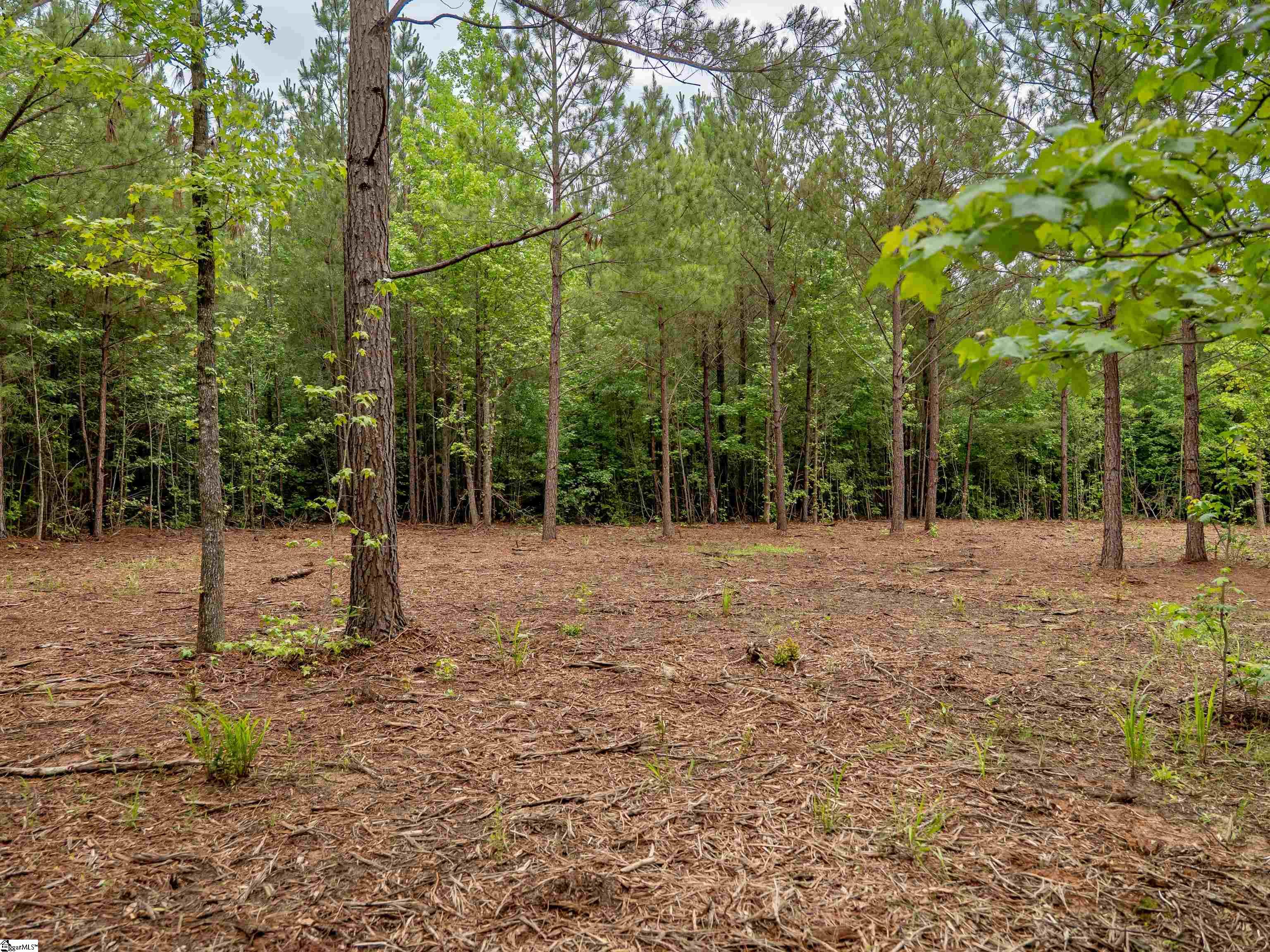 00 Terry Road UNIT Lot 4 Fountain Inn, SC 29644