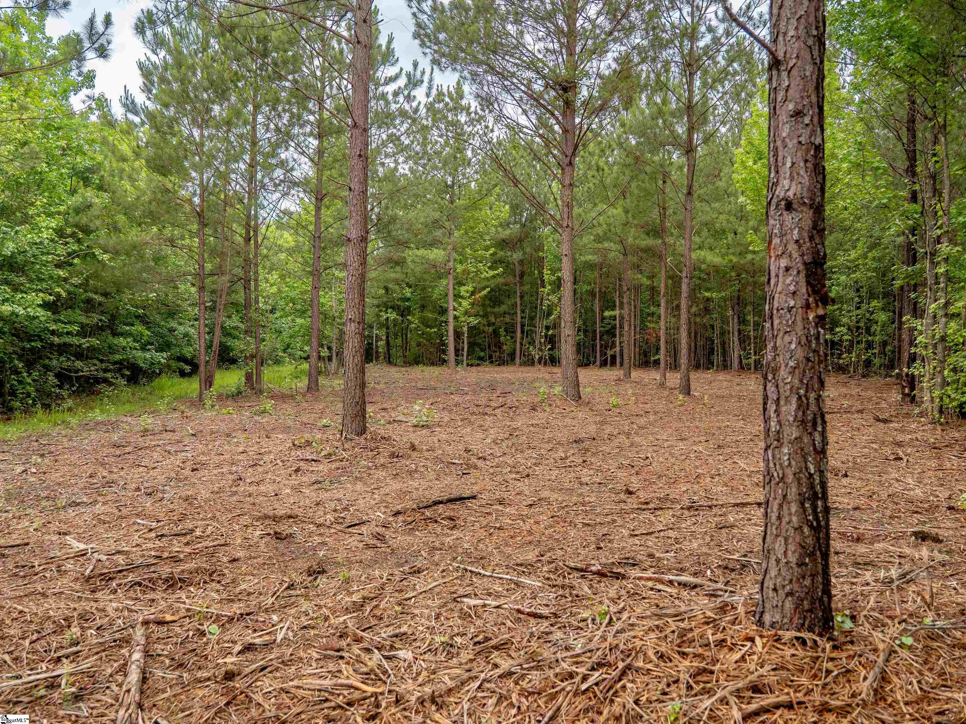 00 Terry Road UNIT Lot 4 Fountain Inn, SC 29644