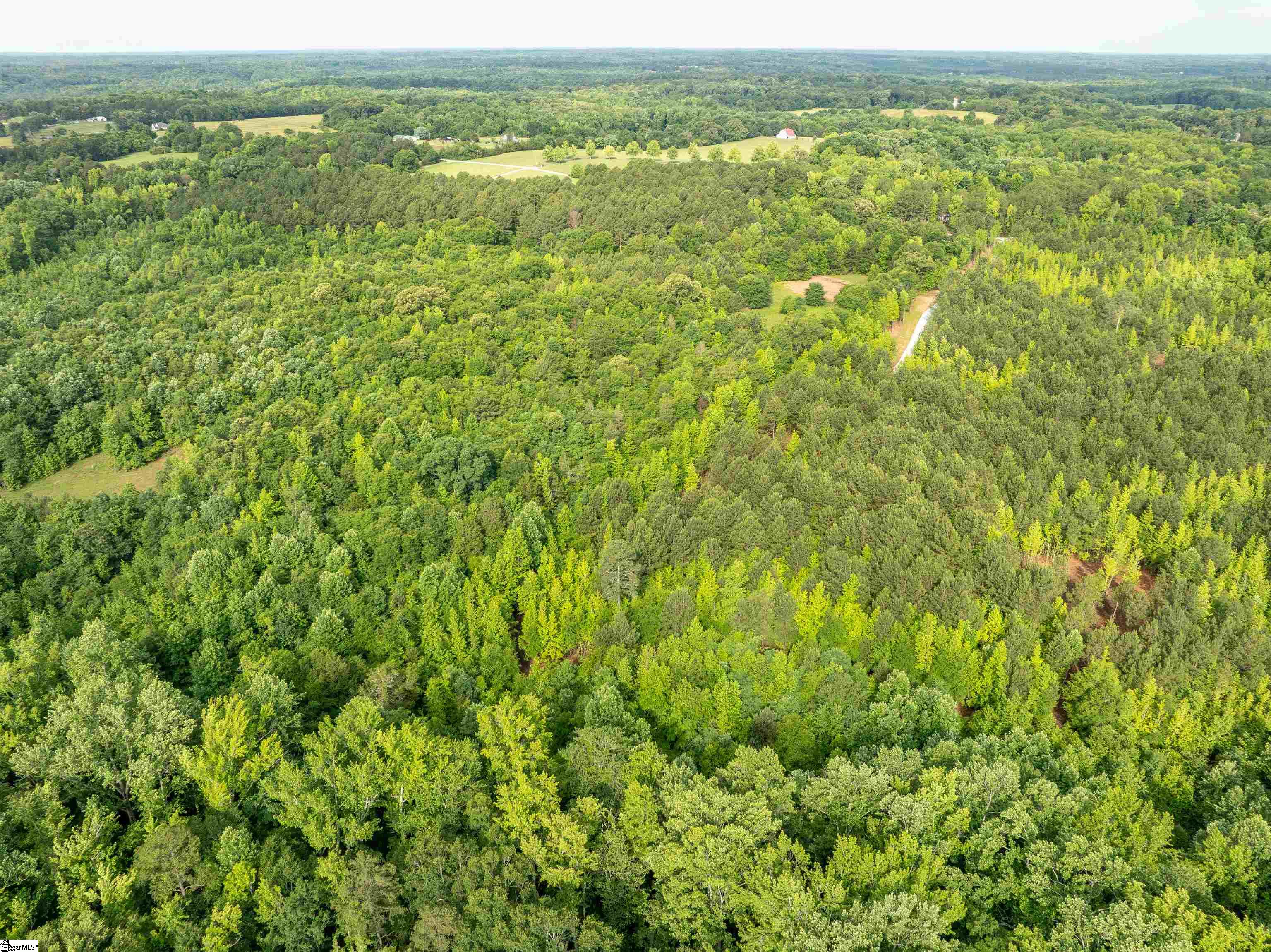 00 Terry Road UNIT Lot 4 Fountain Inn, SC 29644