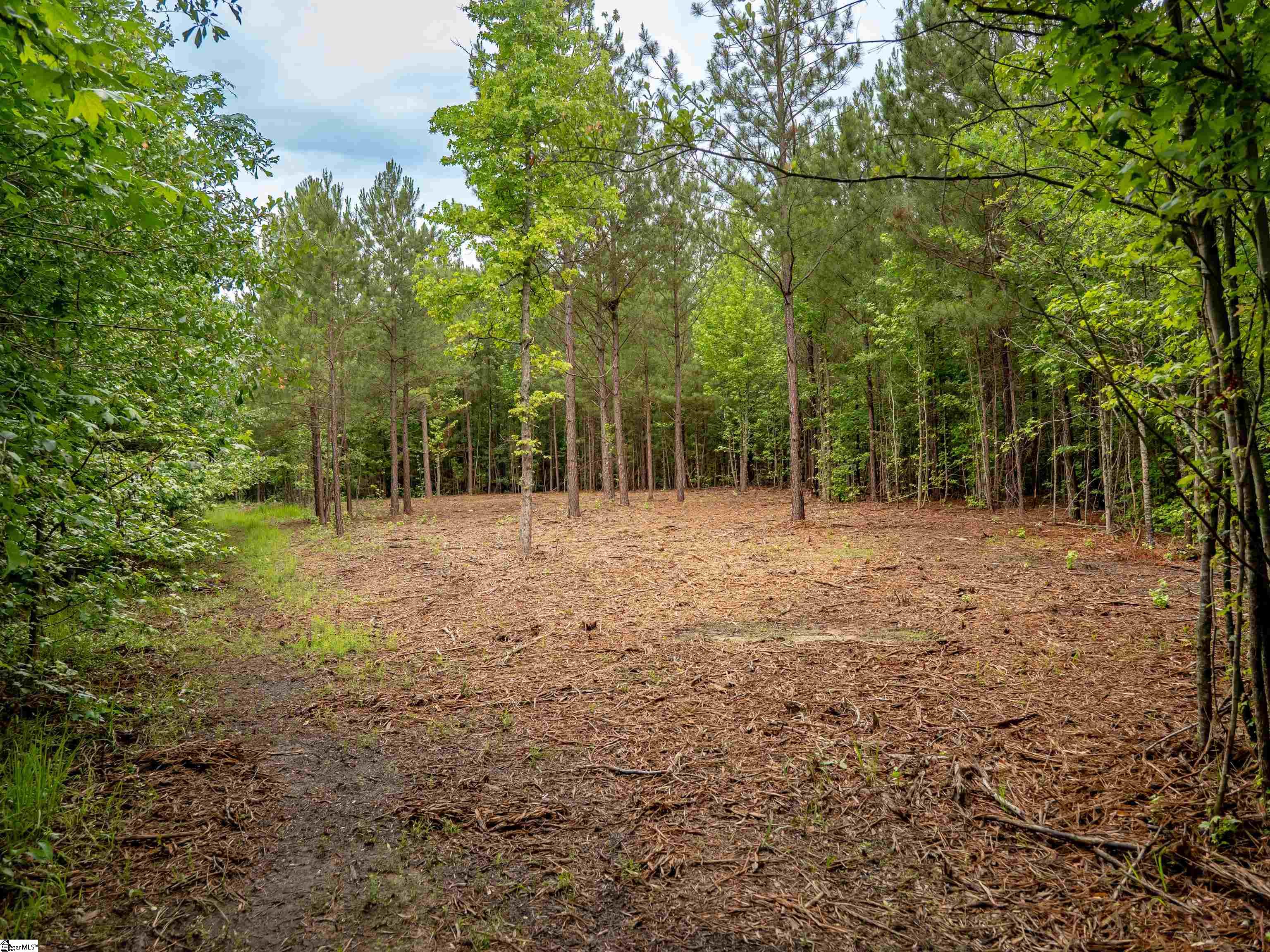 00 Terry Road UNIT Lot 4 Fountain Inn, SC 29644