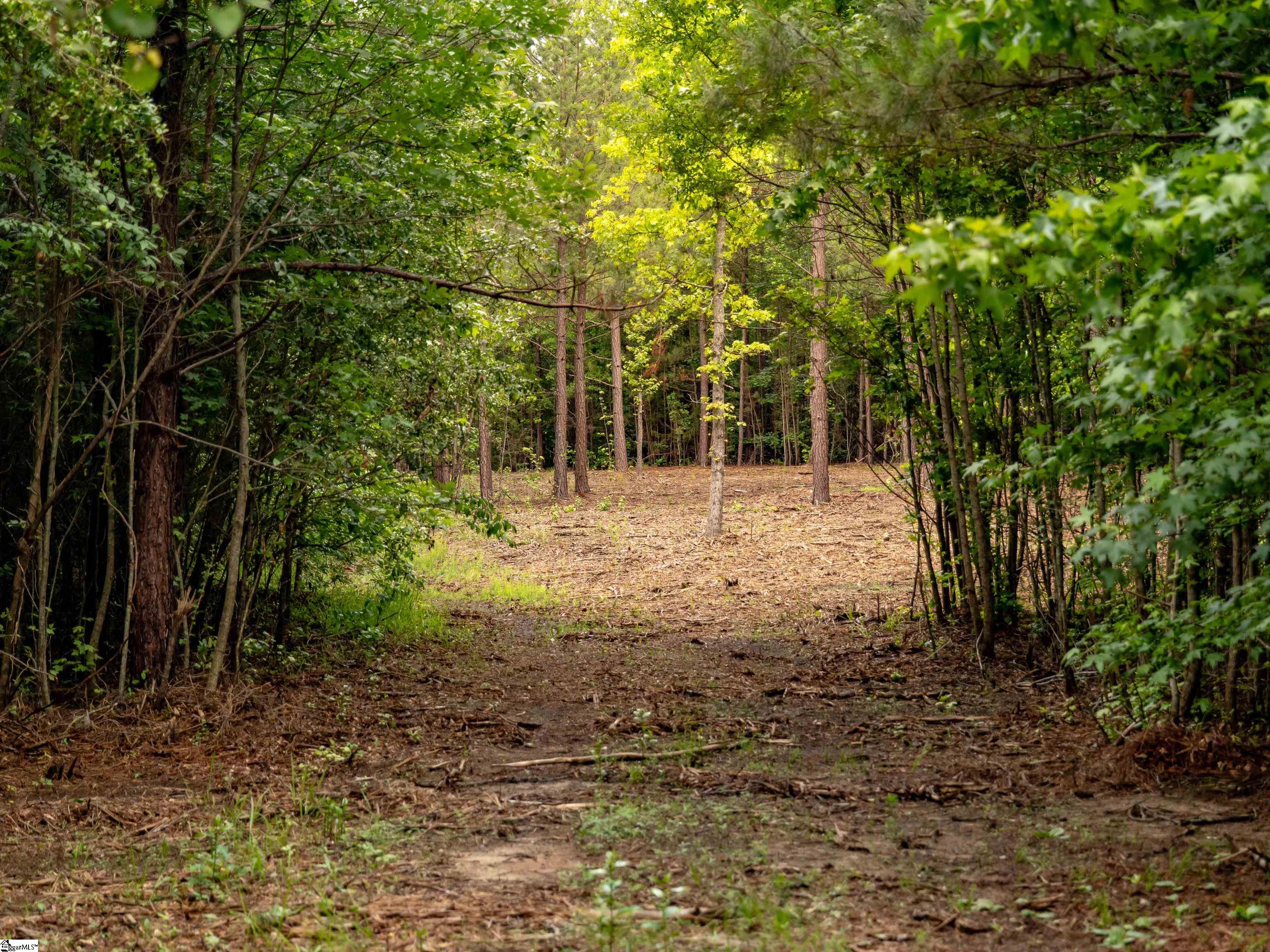00 Terry Road UNIT Lot 4 Fountain Inn, SC 29644