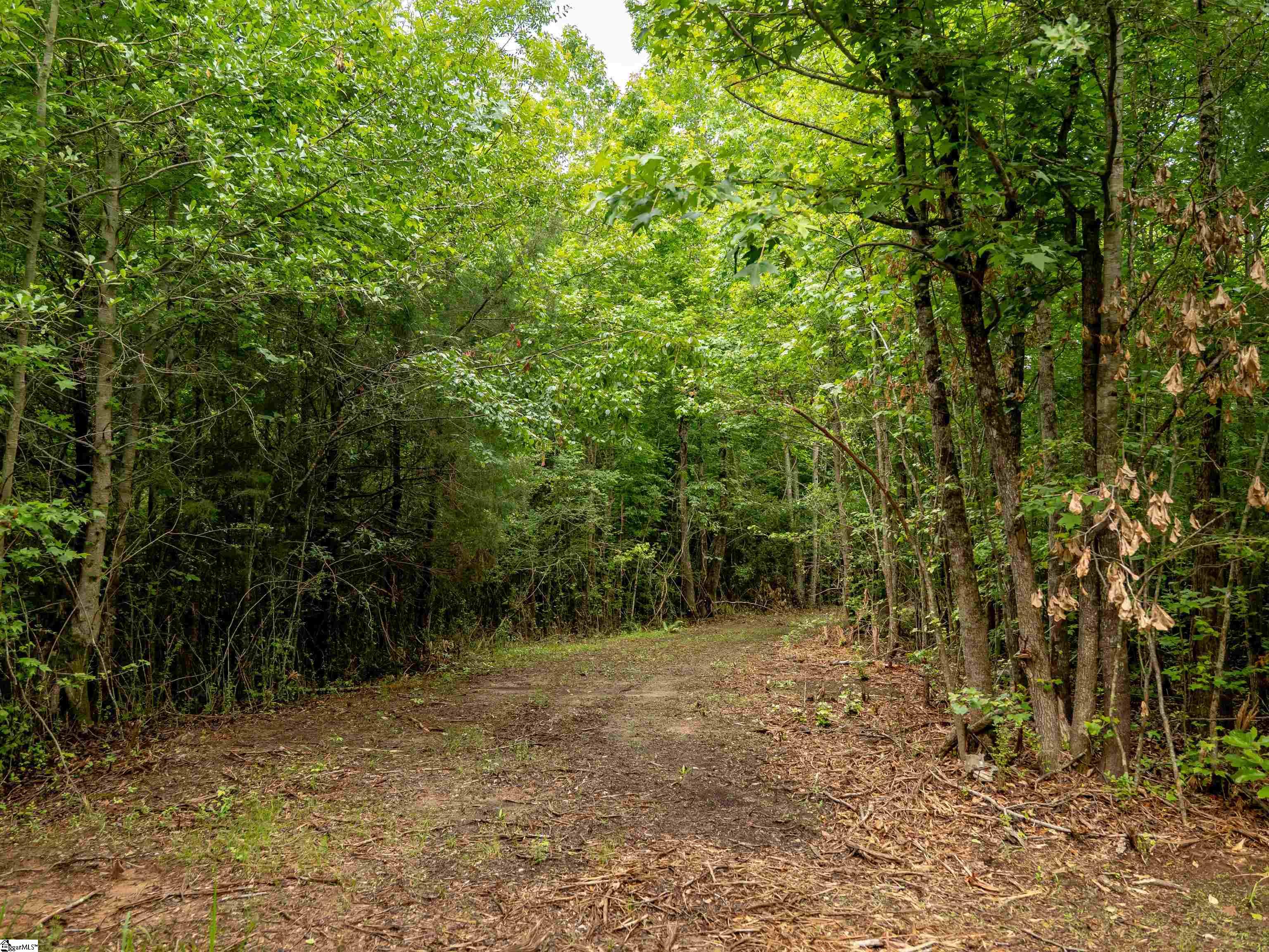 00 Terry Road UNIT Lot 4 Fountain Inn, SC 29644
