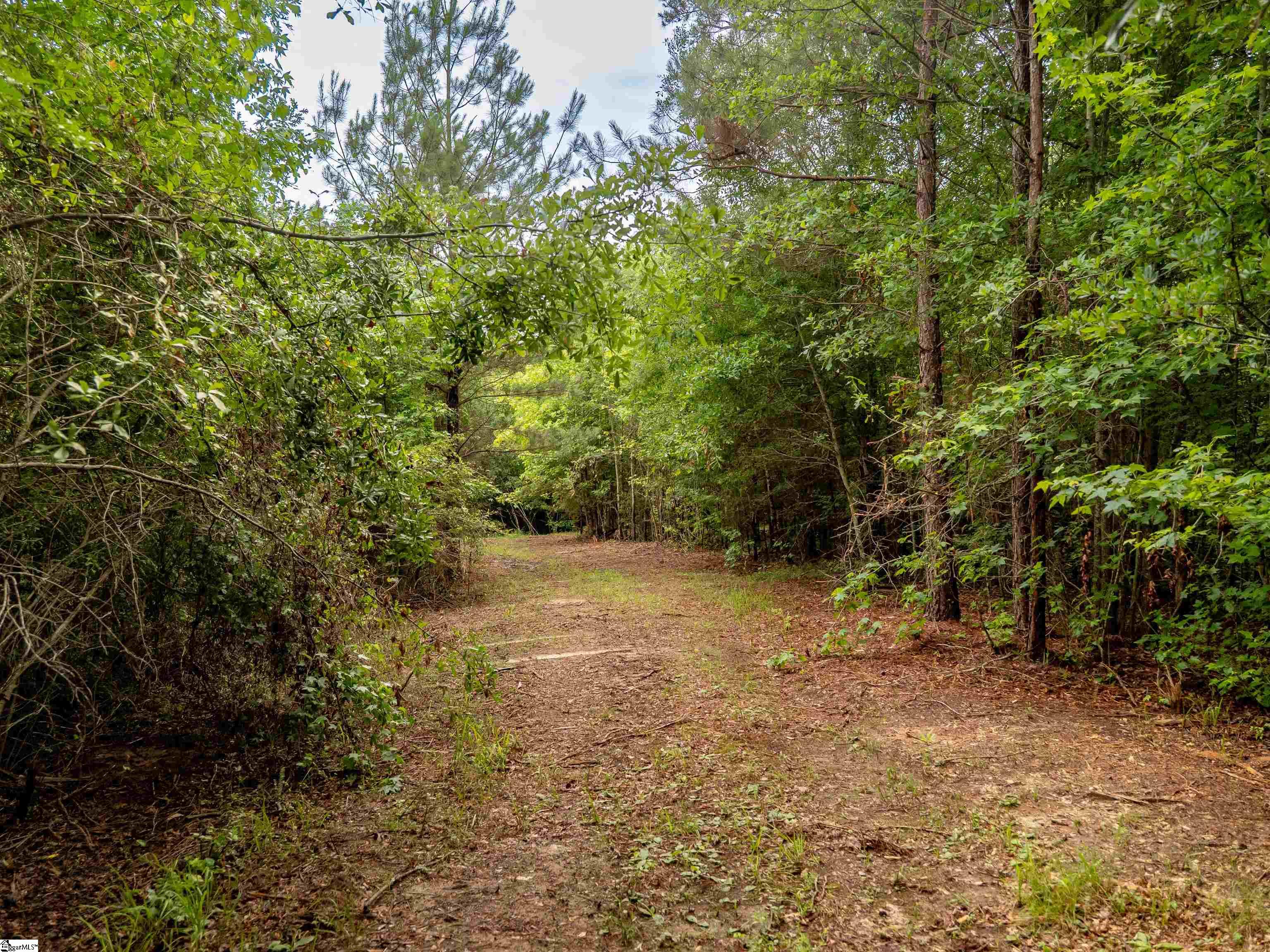 00 Terry Road UNIT Lot 4 Fountain Inn, SC 29644