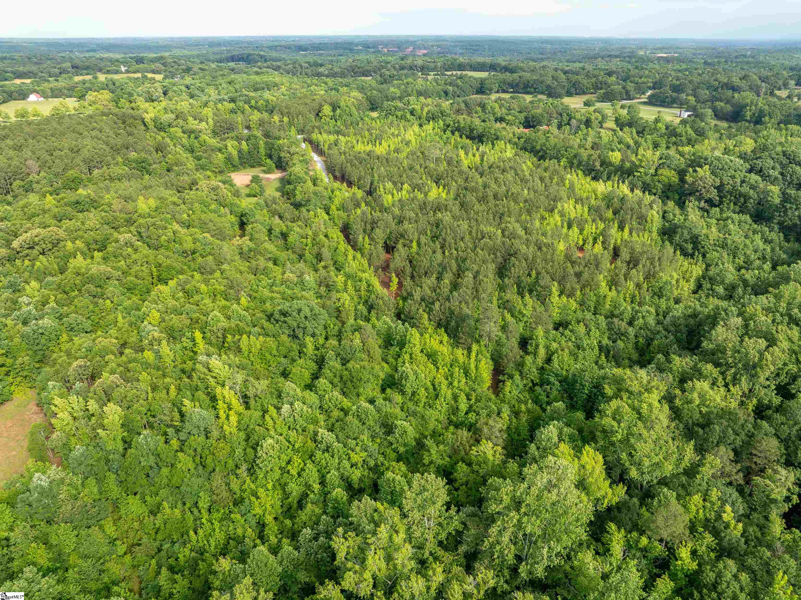 00 Terry Road UNIT Lot 4 Fountain Inn, SC 29644