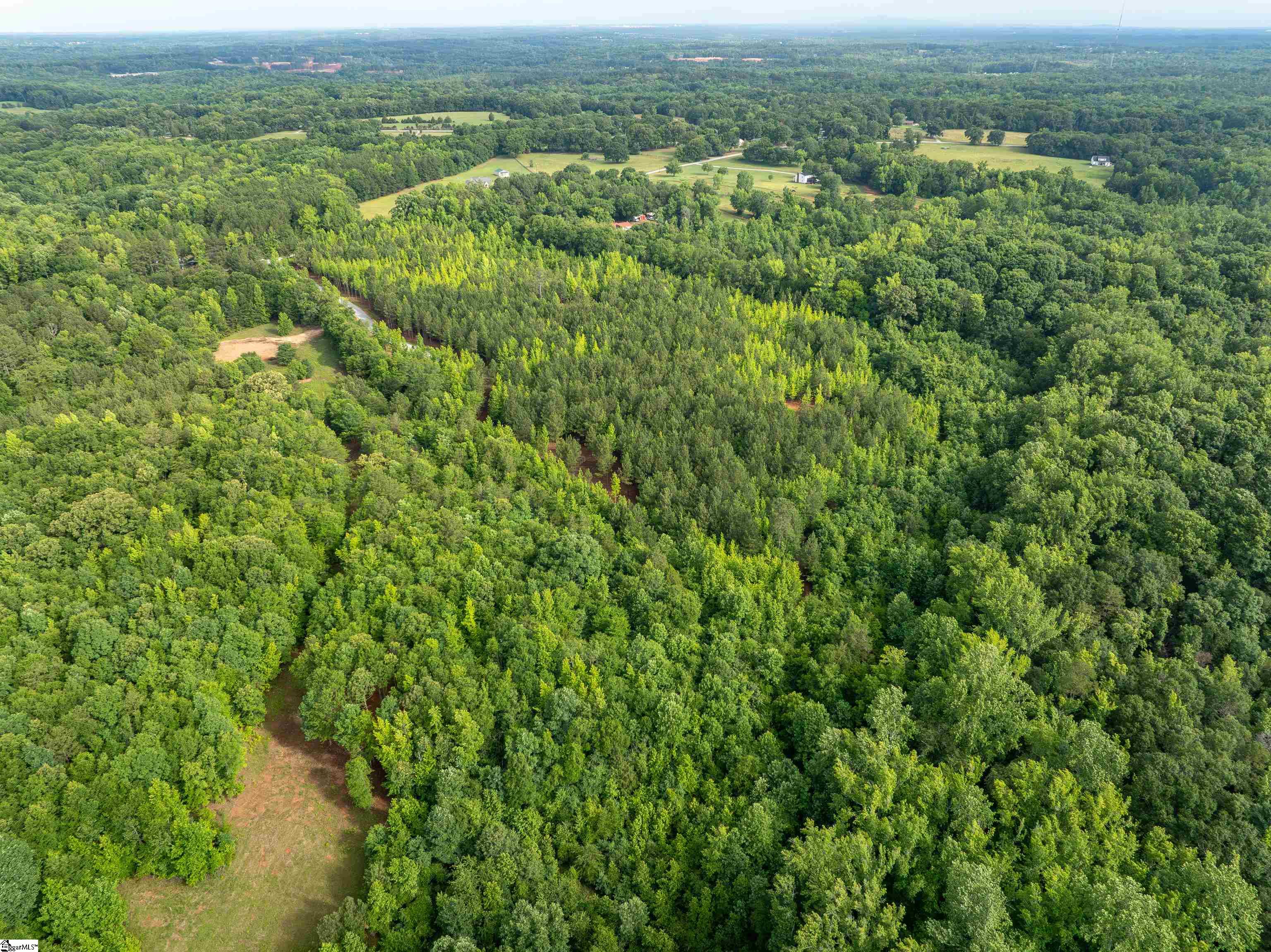 00 Terry Road UNIT Lot 4 Fountain Inn, SC 29644