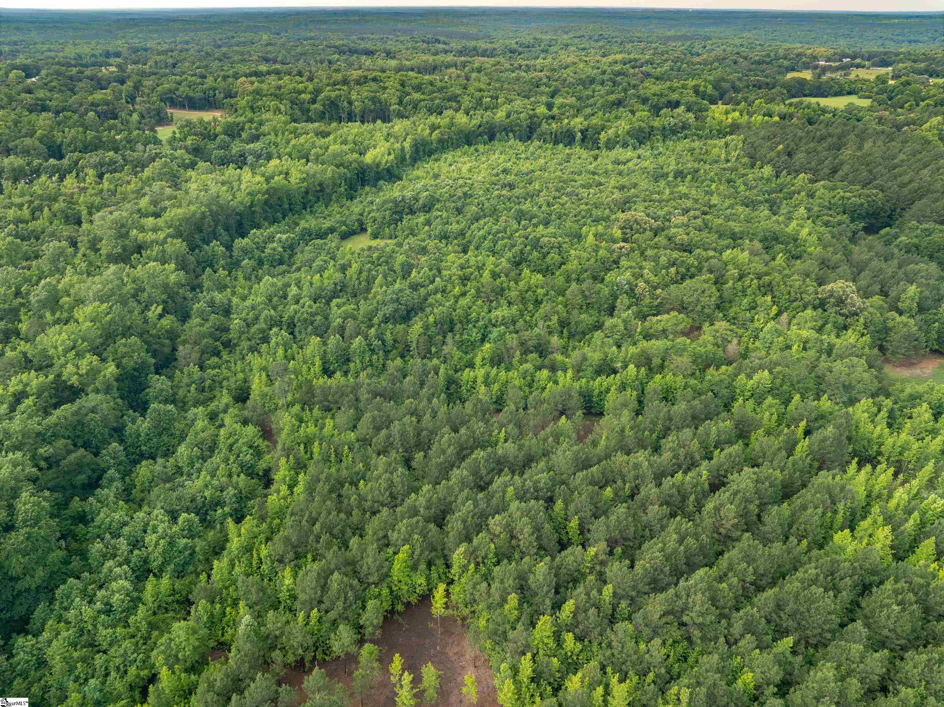 00 Terry Road UNIT Lot 4 Fountain Inn, SC 29644