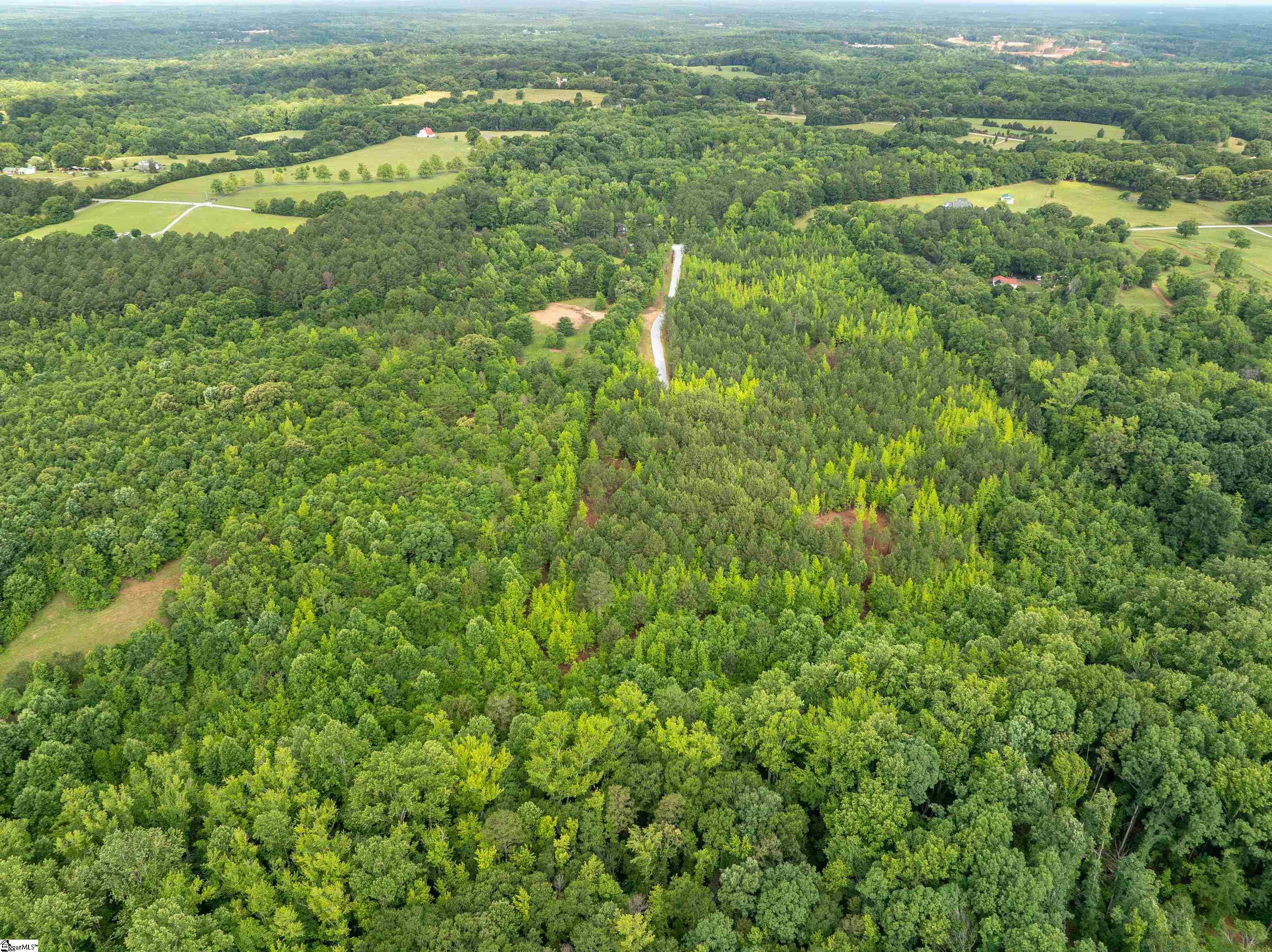 00 Terry Road UNIT Lot 4 Fountain Inn, SC 29644