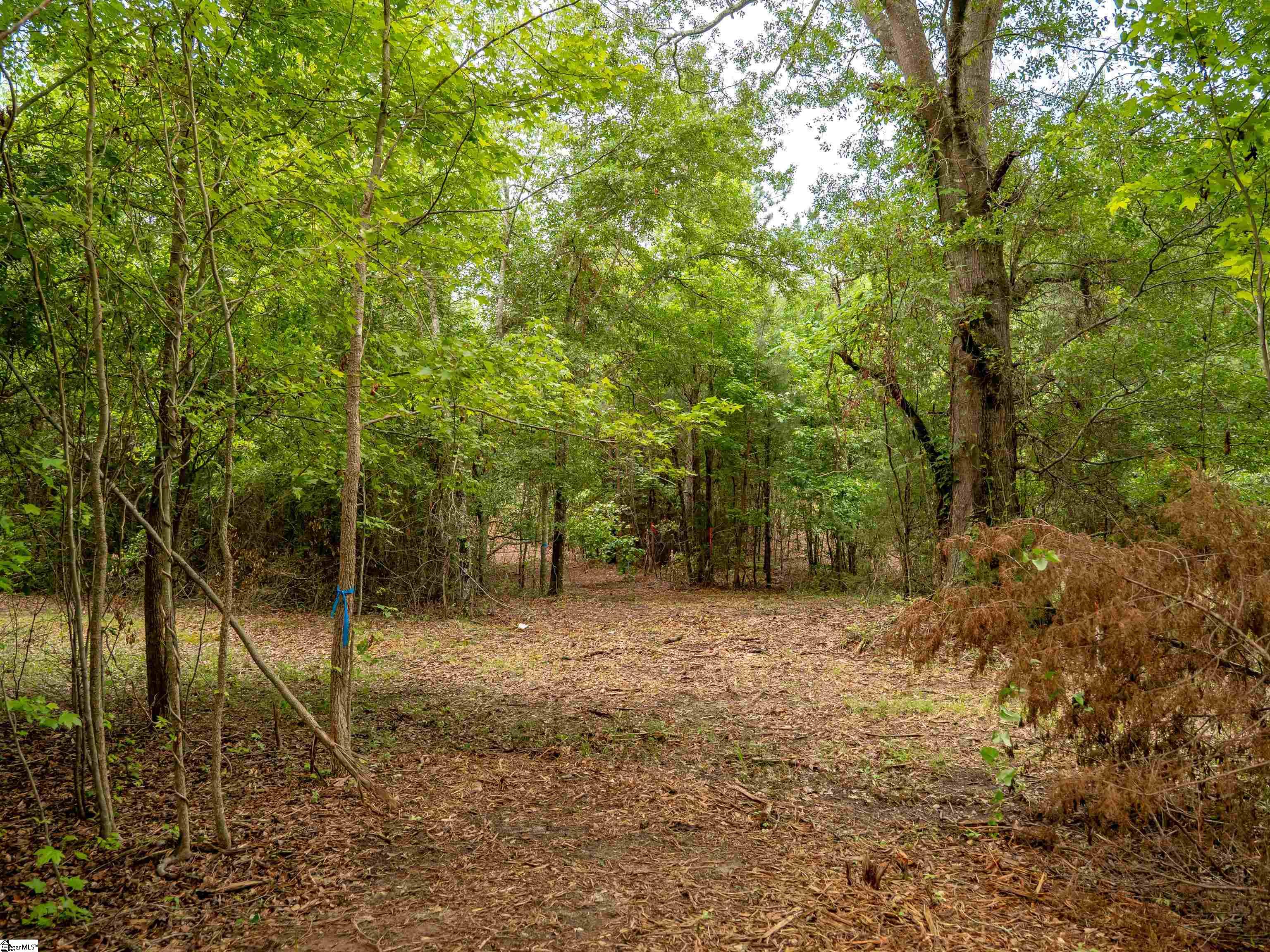 00 Terry Road UNIT Lot 5 Fountain Inn, SC 29644