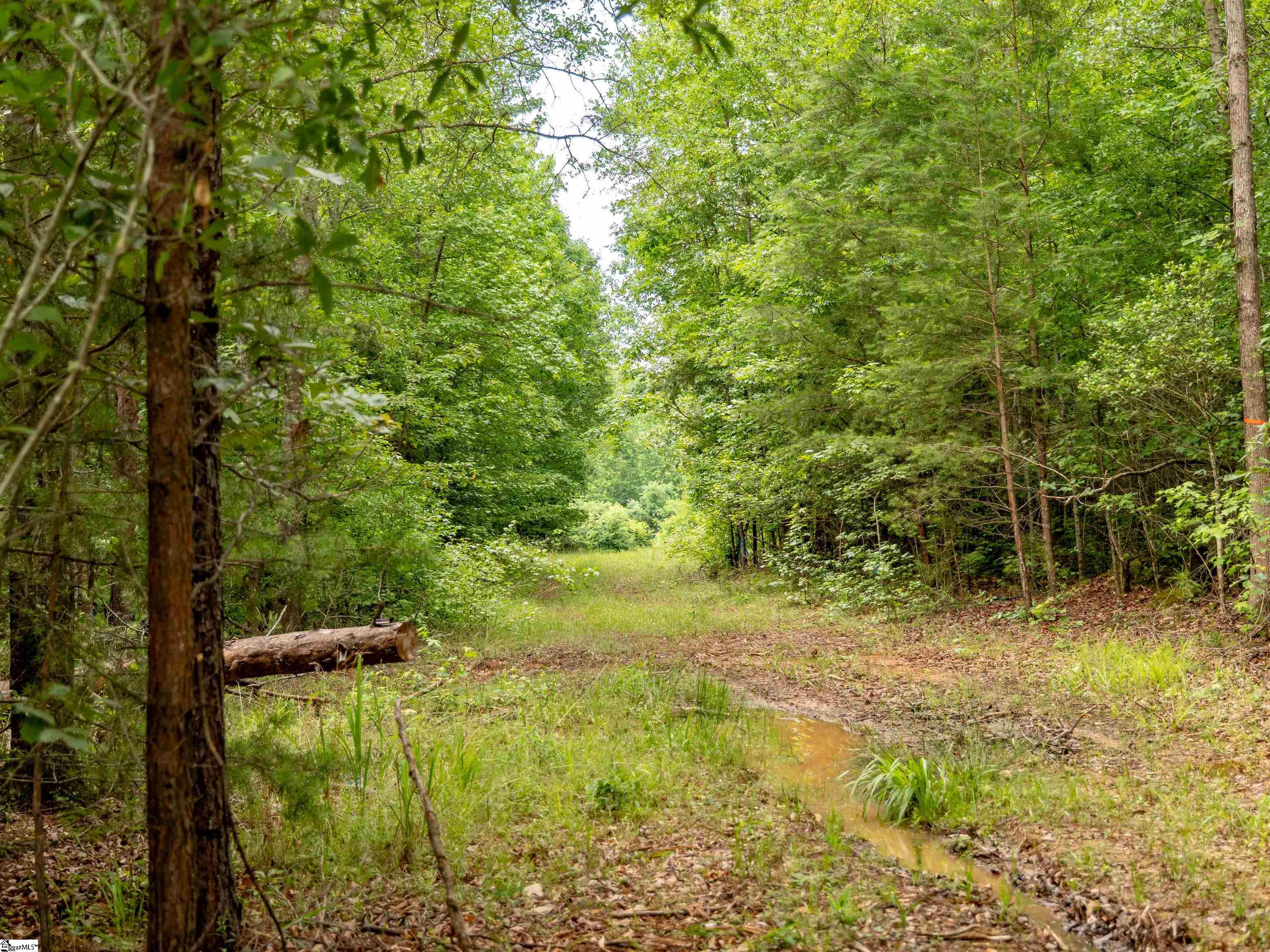 00 Terry Road UNIT Lot 5 Fountain Inn, SC 29644