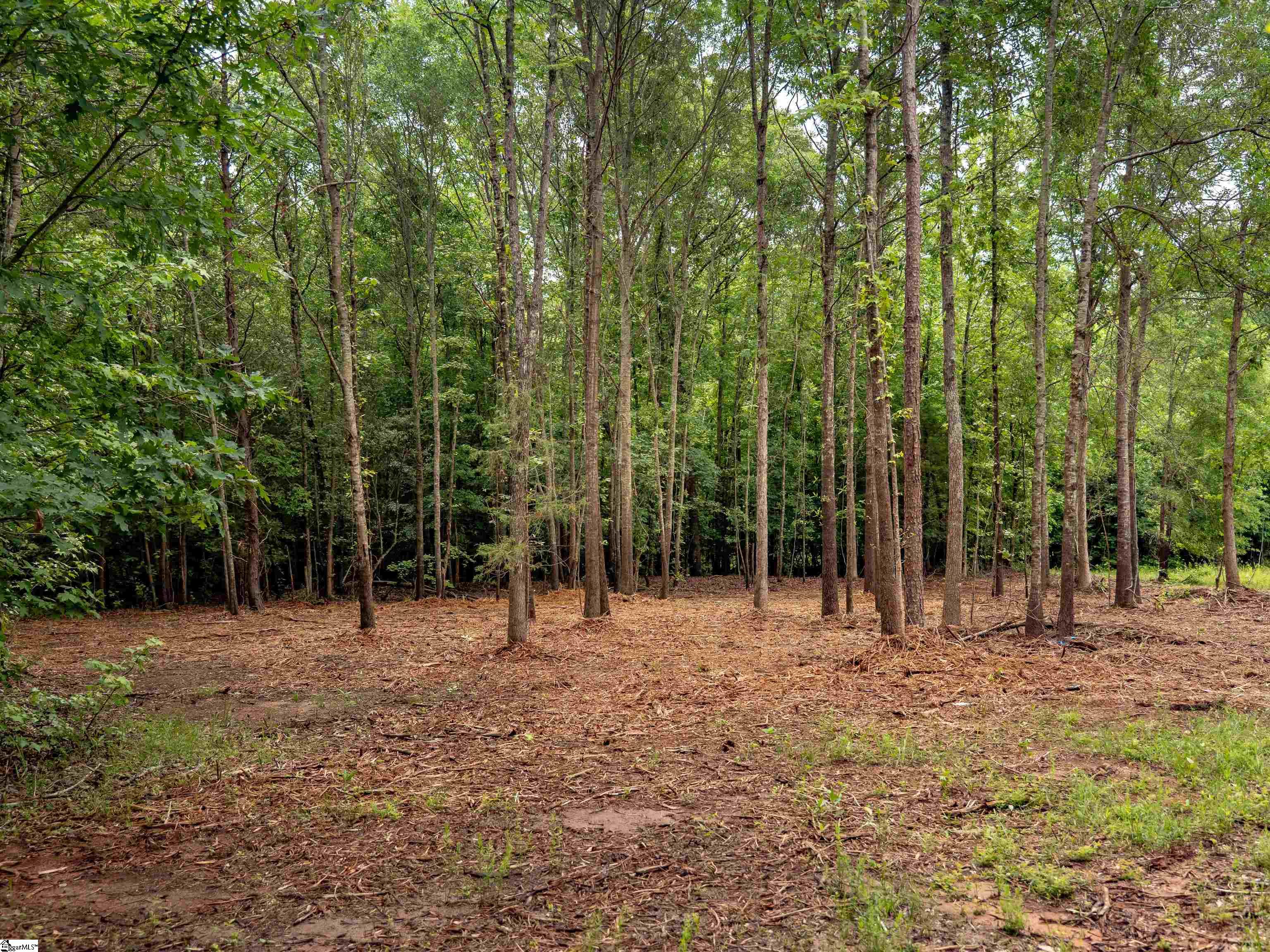 00 Terry Road UNIT Lot 5 Fountain Inn, SC 29644