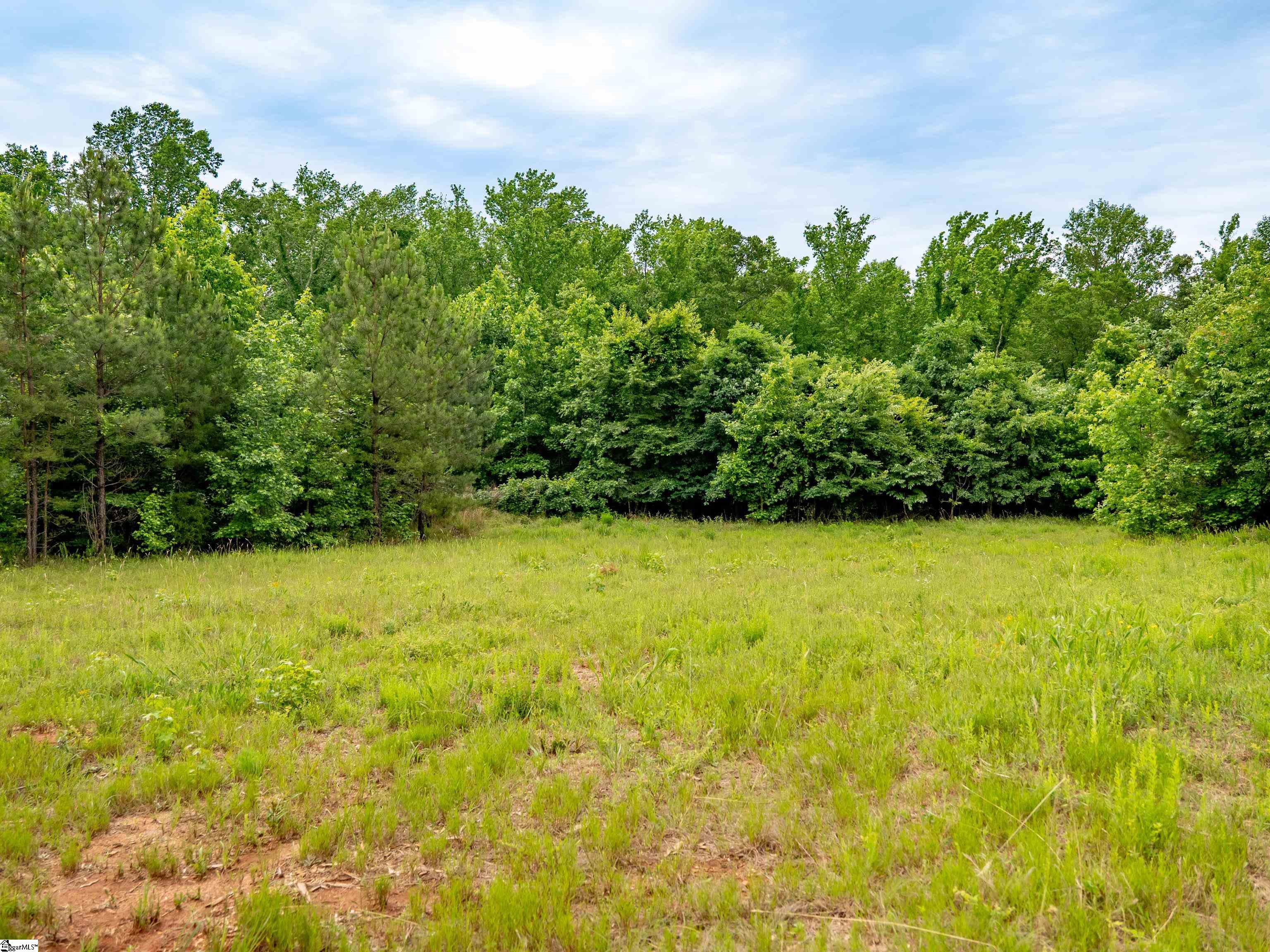 00 Terry Road UNIT Lot 5 Fountain Inn, SC 29644
