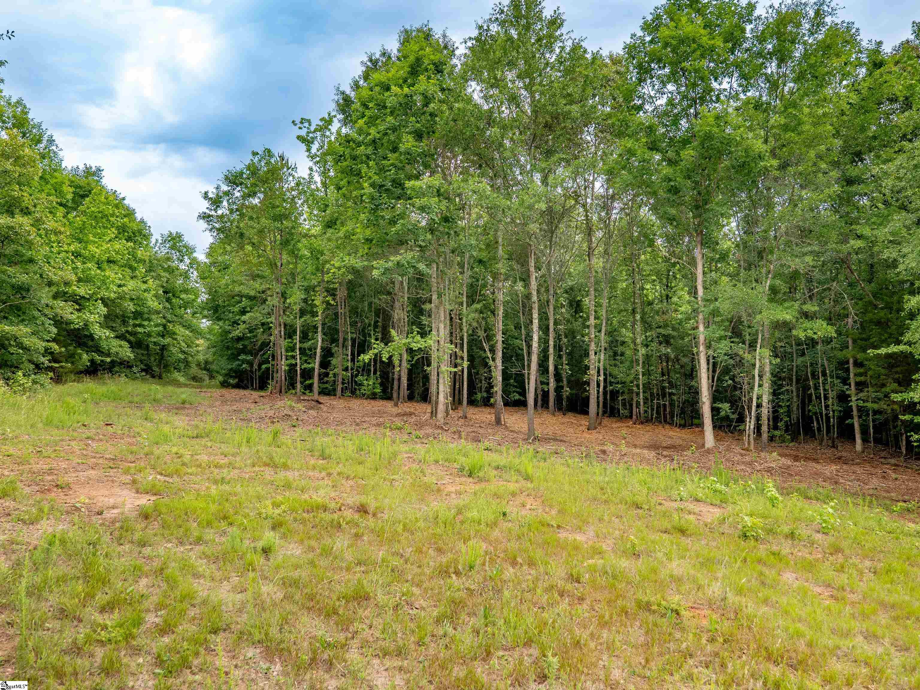 00 Terry Road UNIT Lot 5 Fountain Inn, SC 29644
