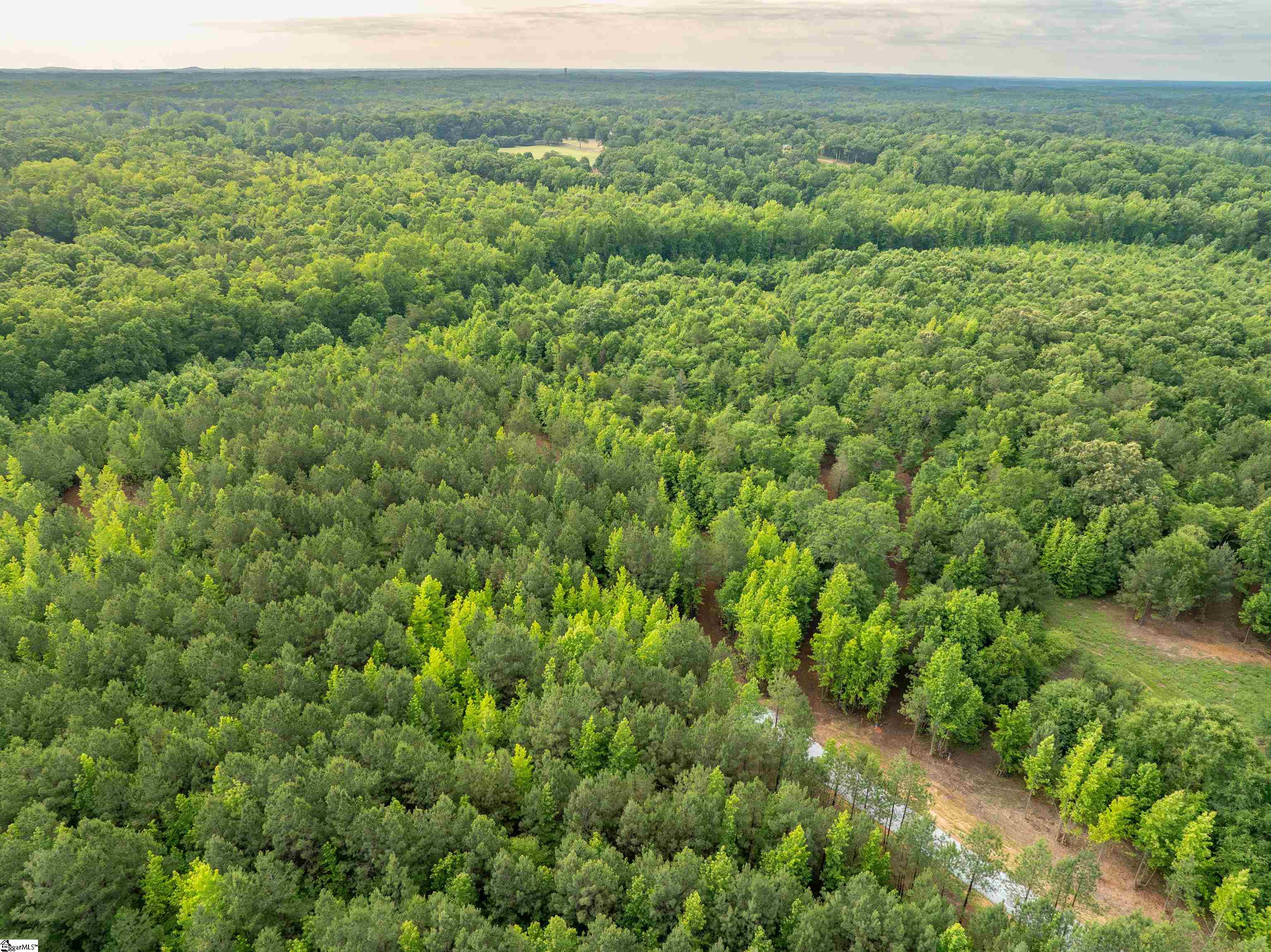 00 Terry Road UNIT Lot 5 Fountain Inn, SC 29644