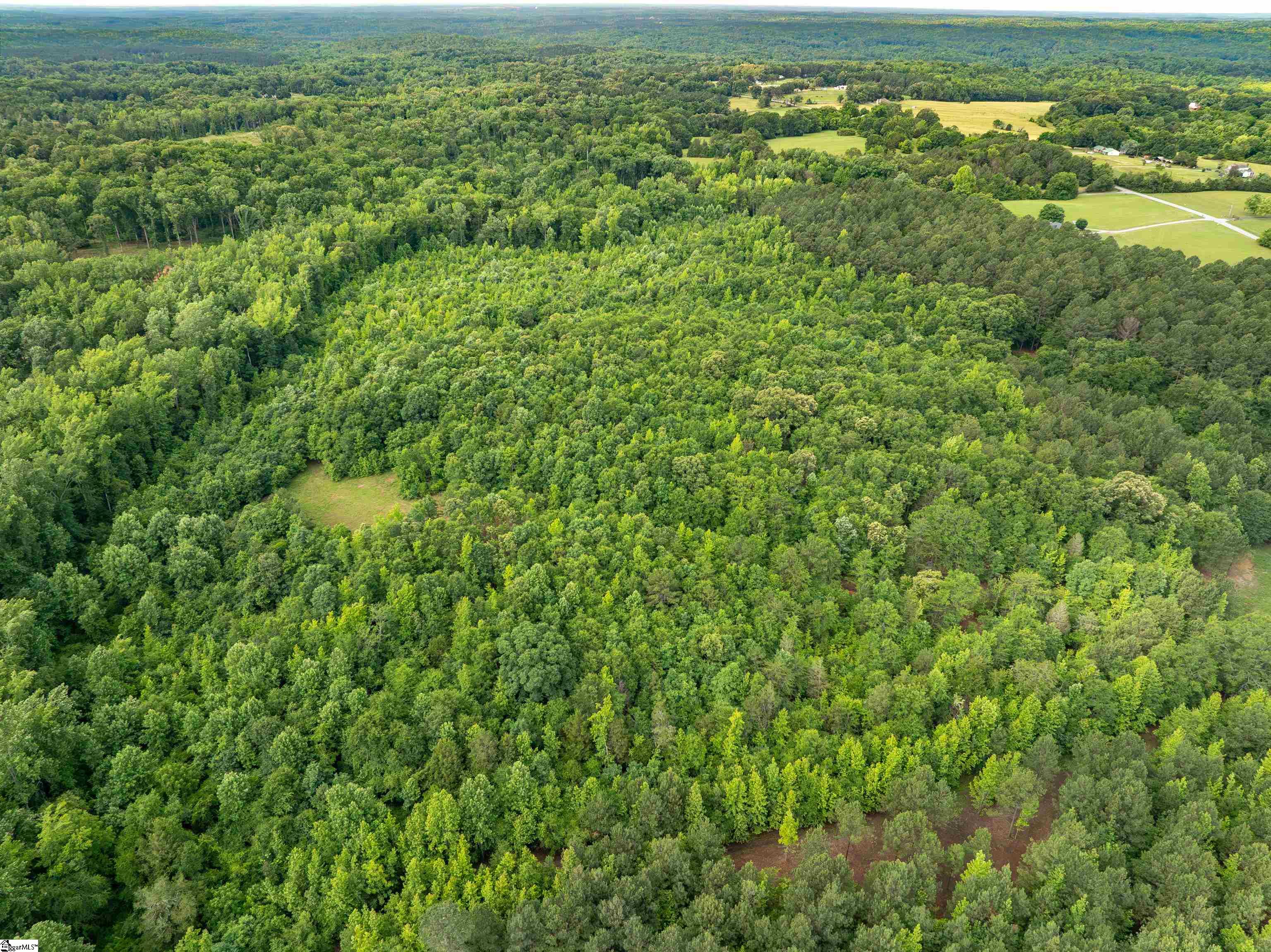 00 Terry Road UNIT Lot 5 Fountain Inn, SC 29644