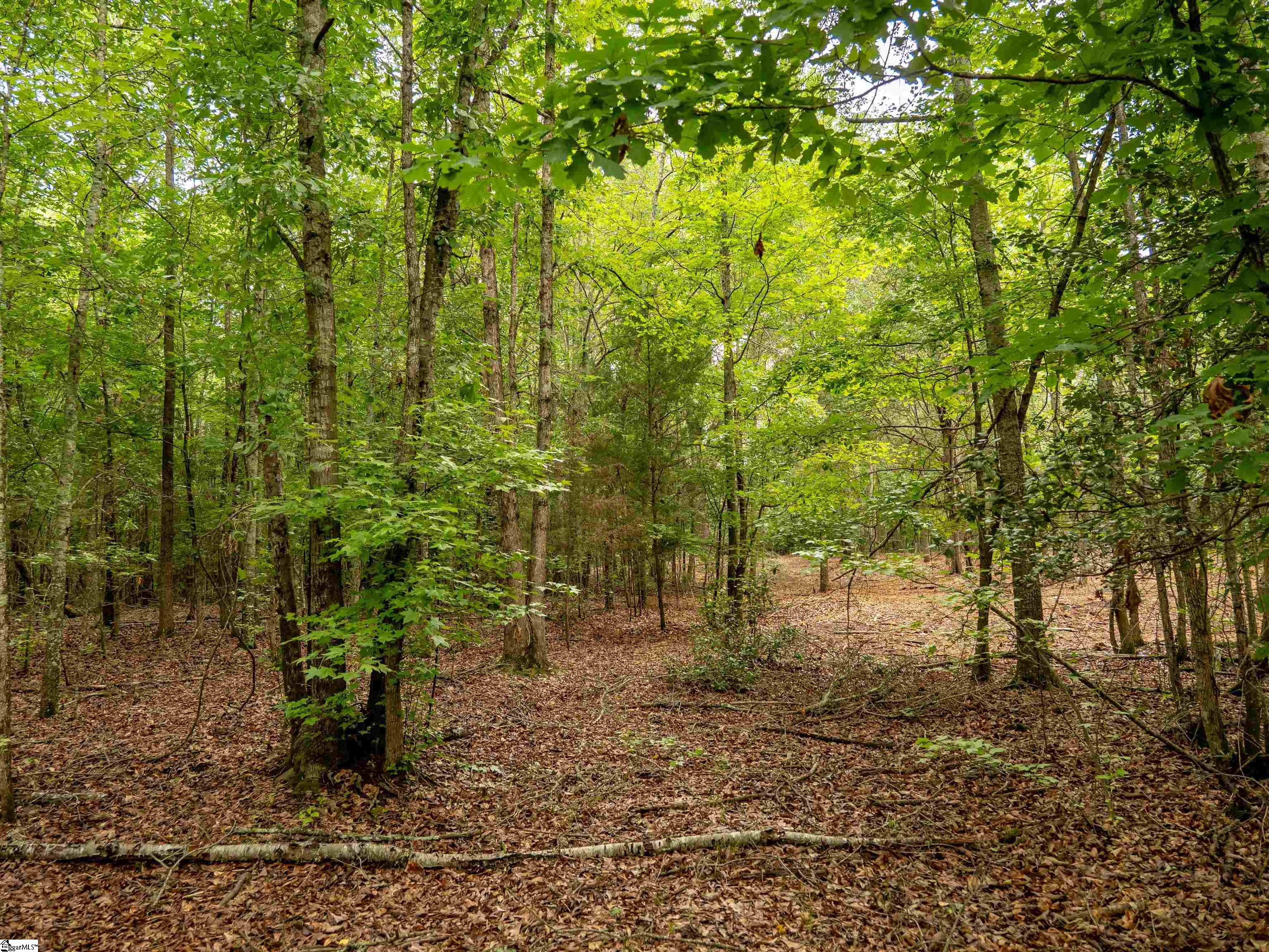 00 Terry Road UNIT Lot 6 Fountain Inn, SC 29644
