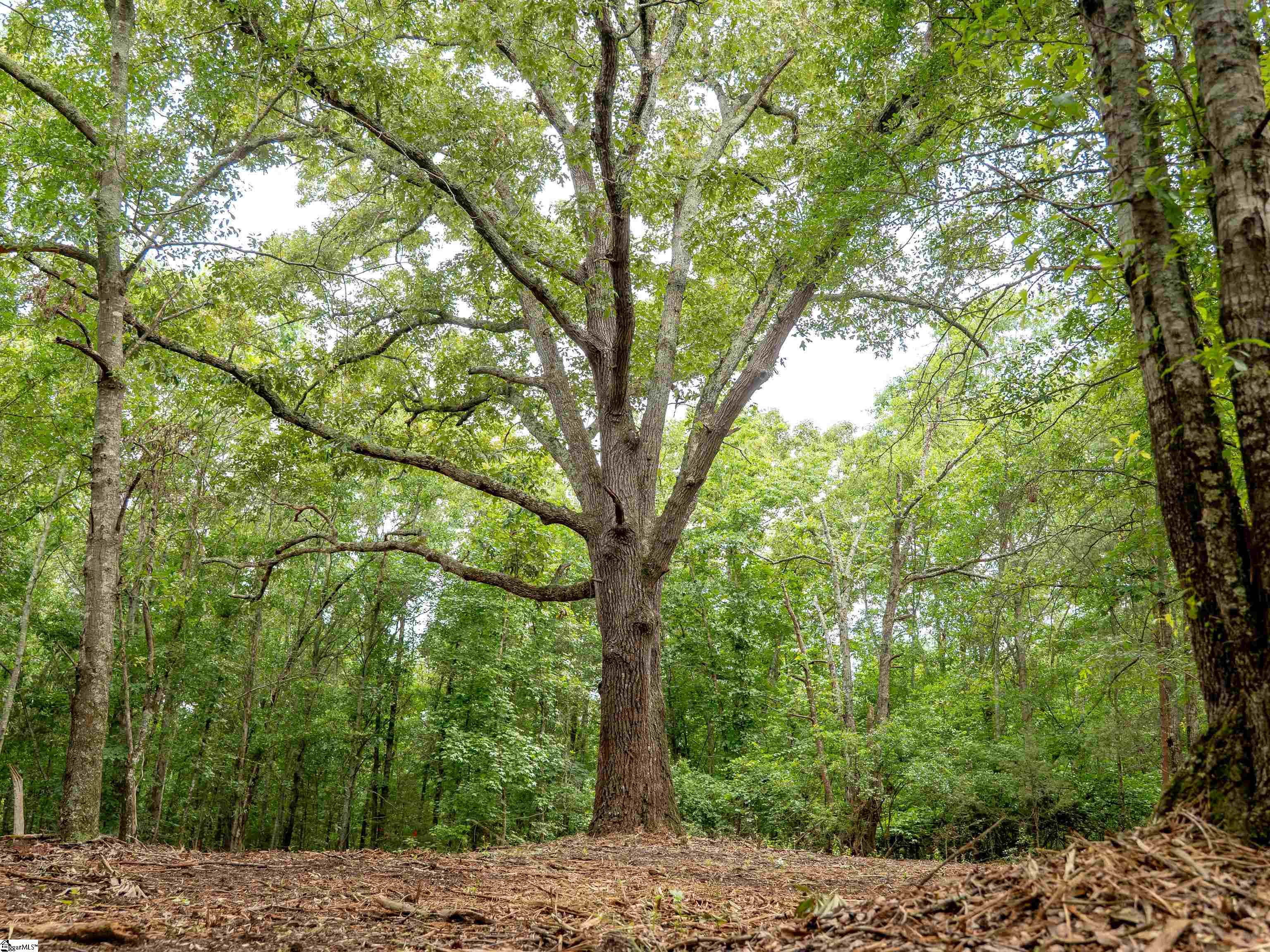 00 Terry Road UNIT Lot 6 Fountain Inn, SC 29644