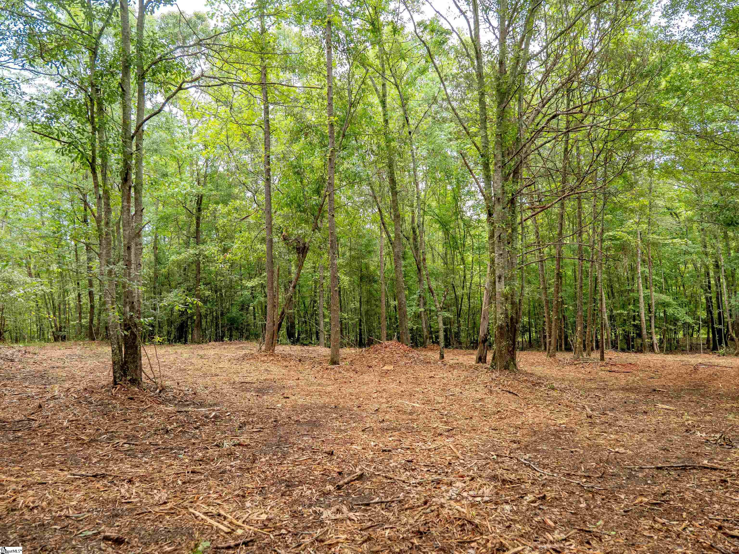 00 Terry Road UNIT Lot 6 Fountain Inn, SC 29644