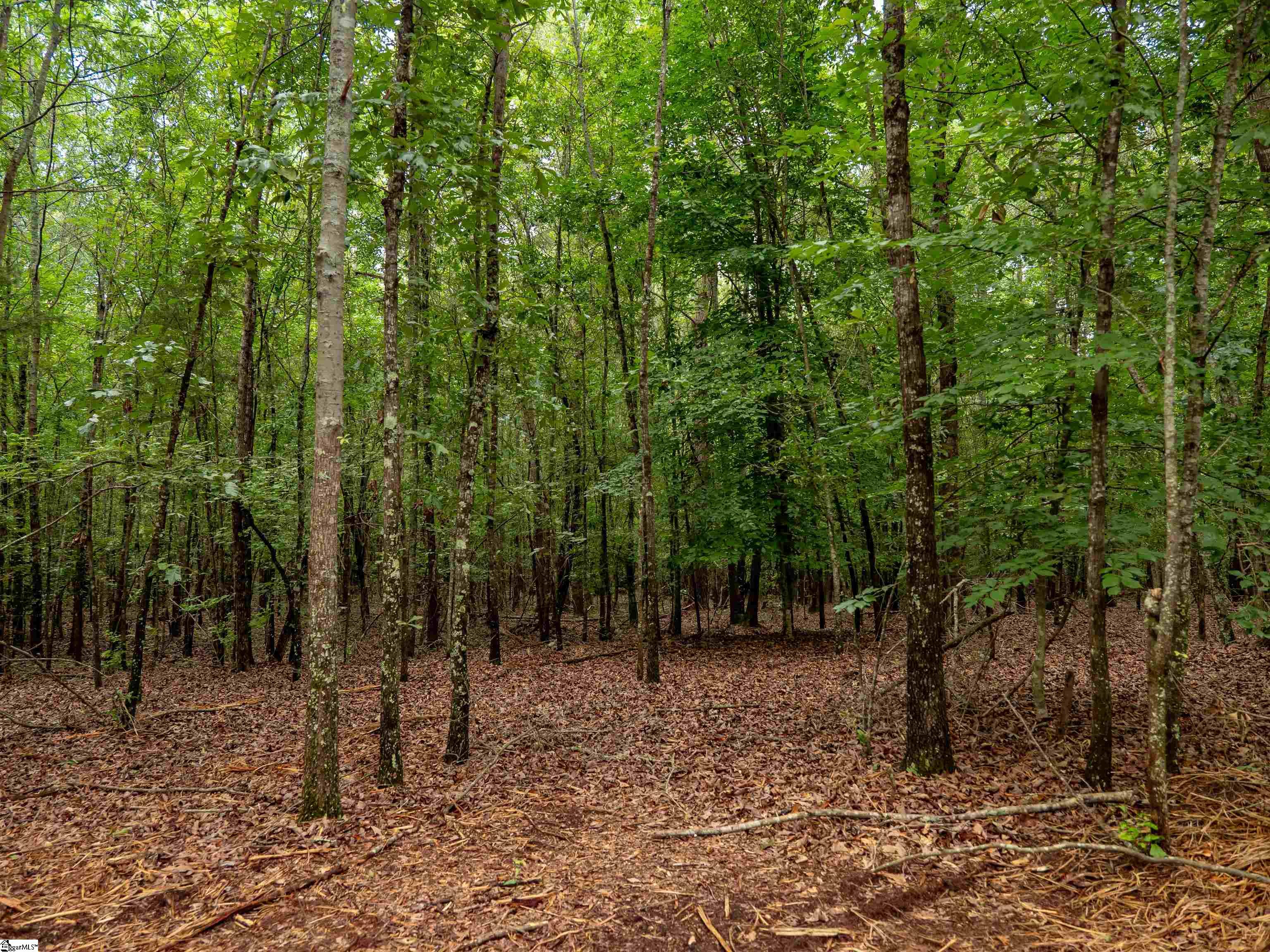 00 Terry Road UNIT Lot 6 Fountain Inn, SC 29644