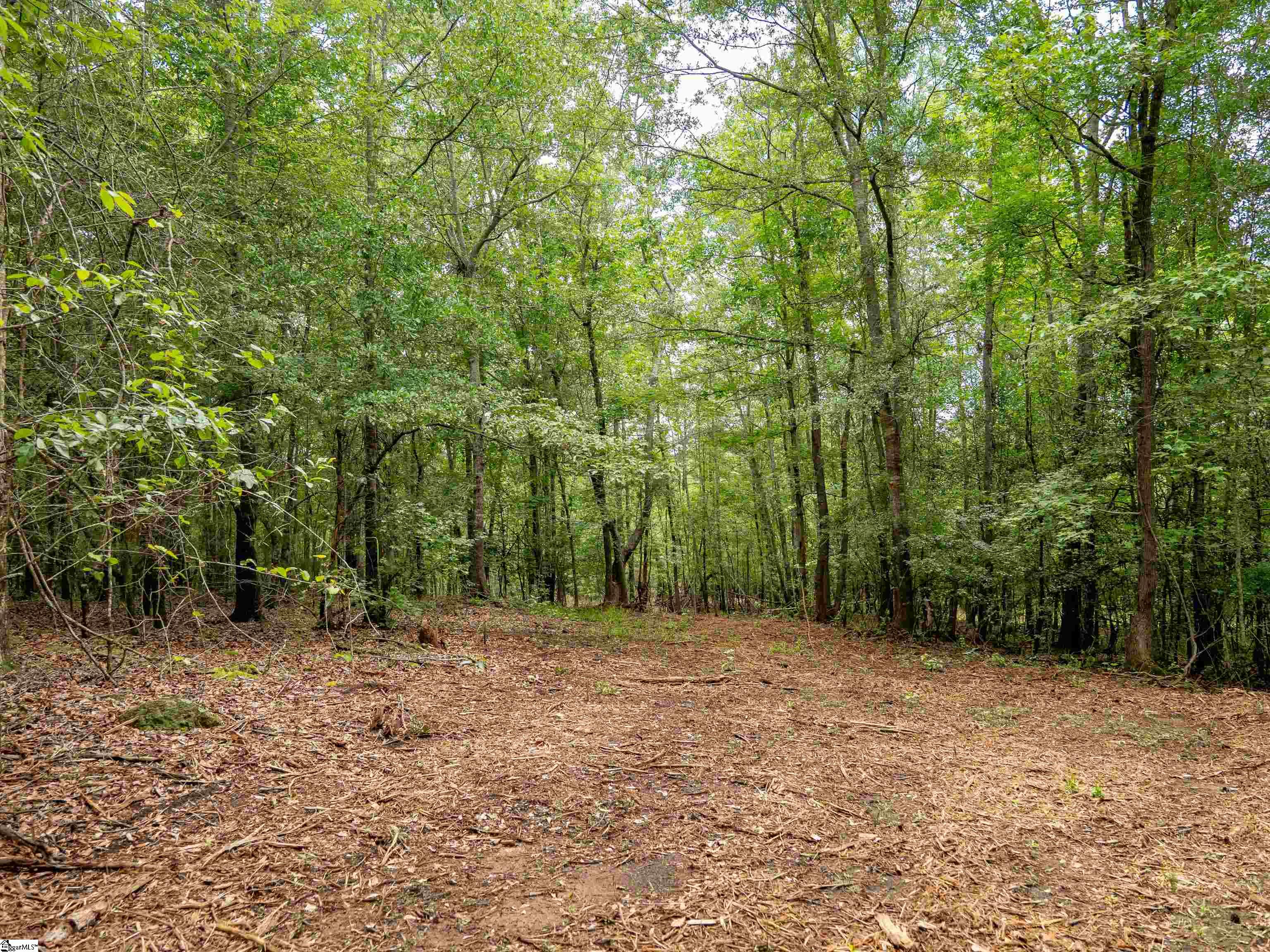 00 Terry Road UNIT Lot 6 Fountain Inn, SC 29644