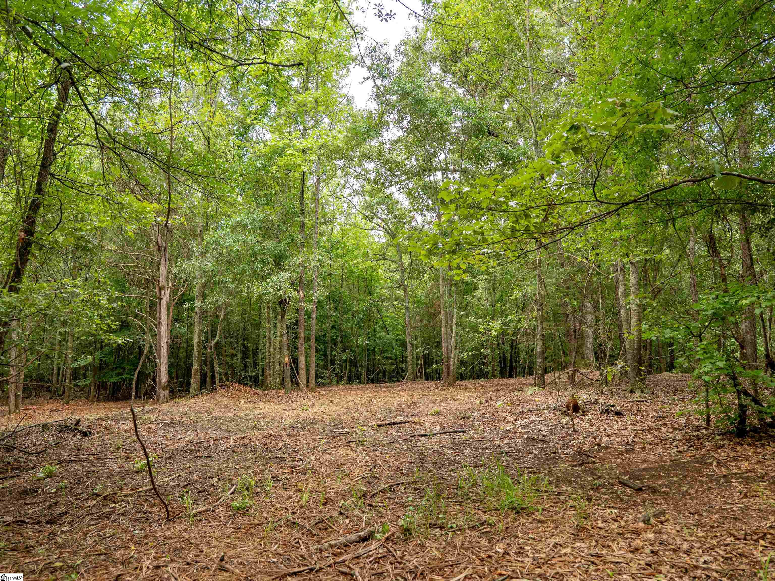 00 Terry Road UNIT Lot 6 Fountain Inn, SC 29644