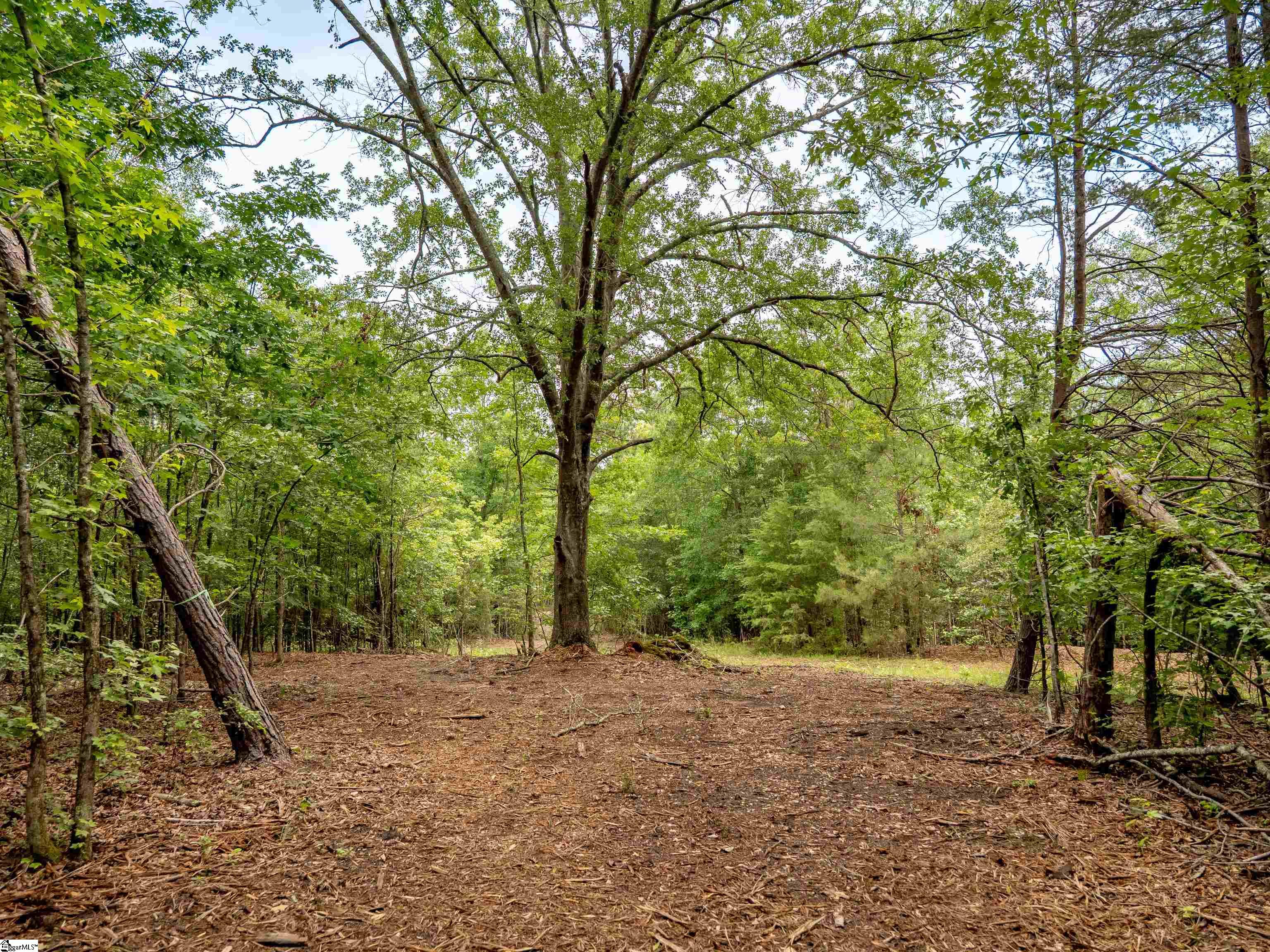 00 Terry Road UNIT Lot 6 Fountain Inn, SC 29644