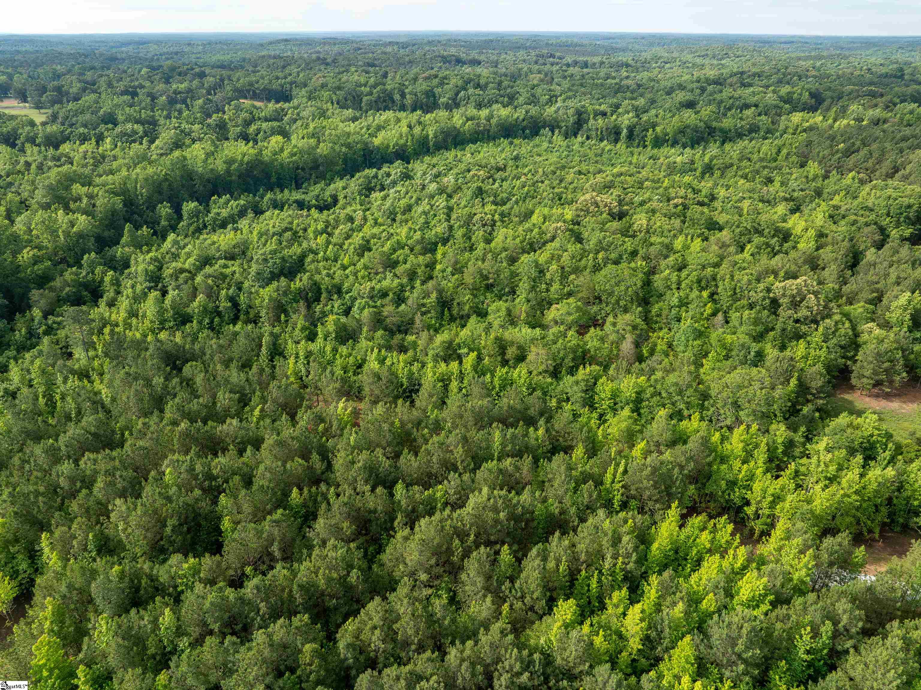 00 Terry Road UNIT Lot 6 Fountain Inn, SC 29644