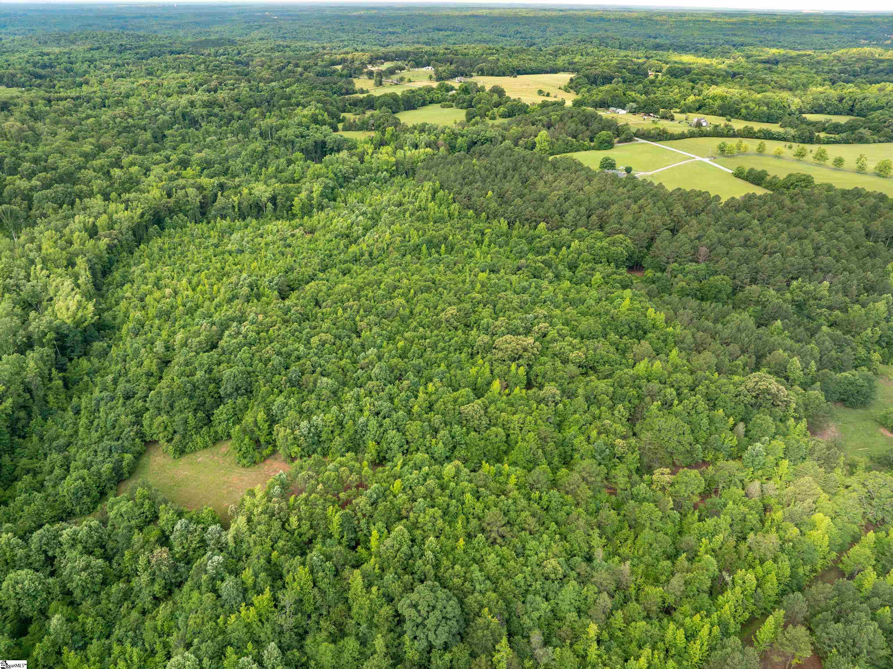 00 Terry Road UNIT Lot 6 Fountain Inn, SC 29644