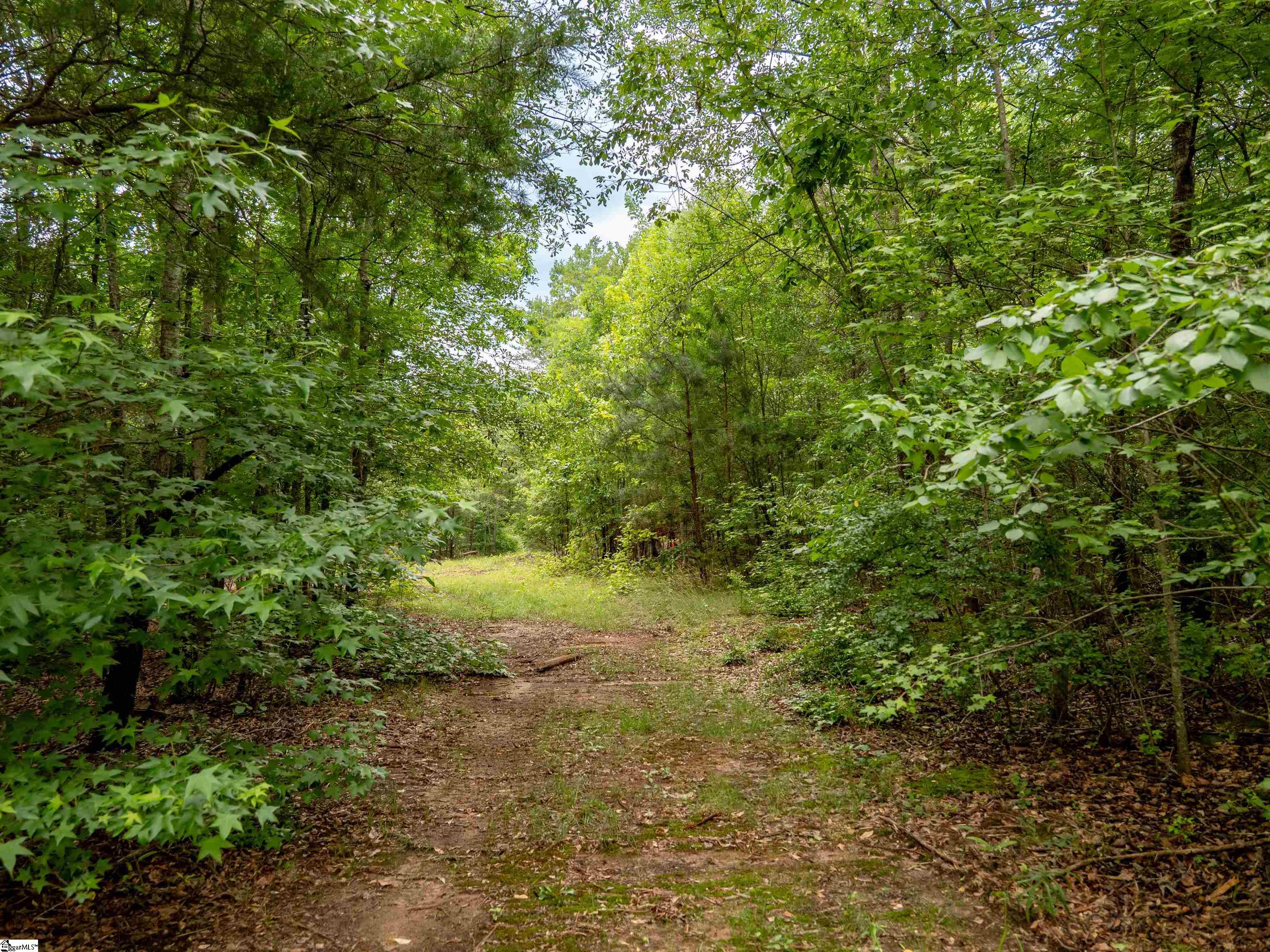 00 Terry Road UNIT Lot 7 Fountain Inn, SC 29644