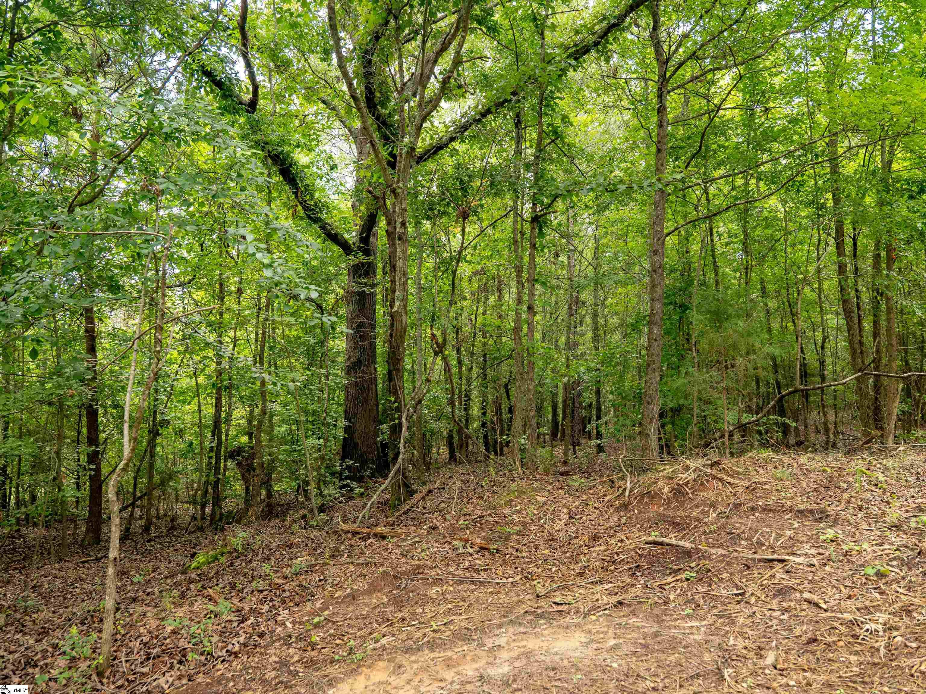 00 Terry Road UNIT Lot 7 Fountain Inn, SC 29644