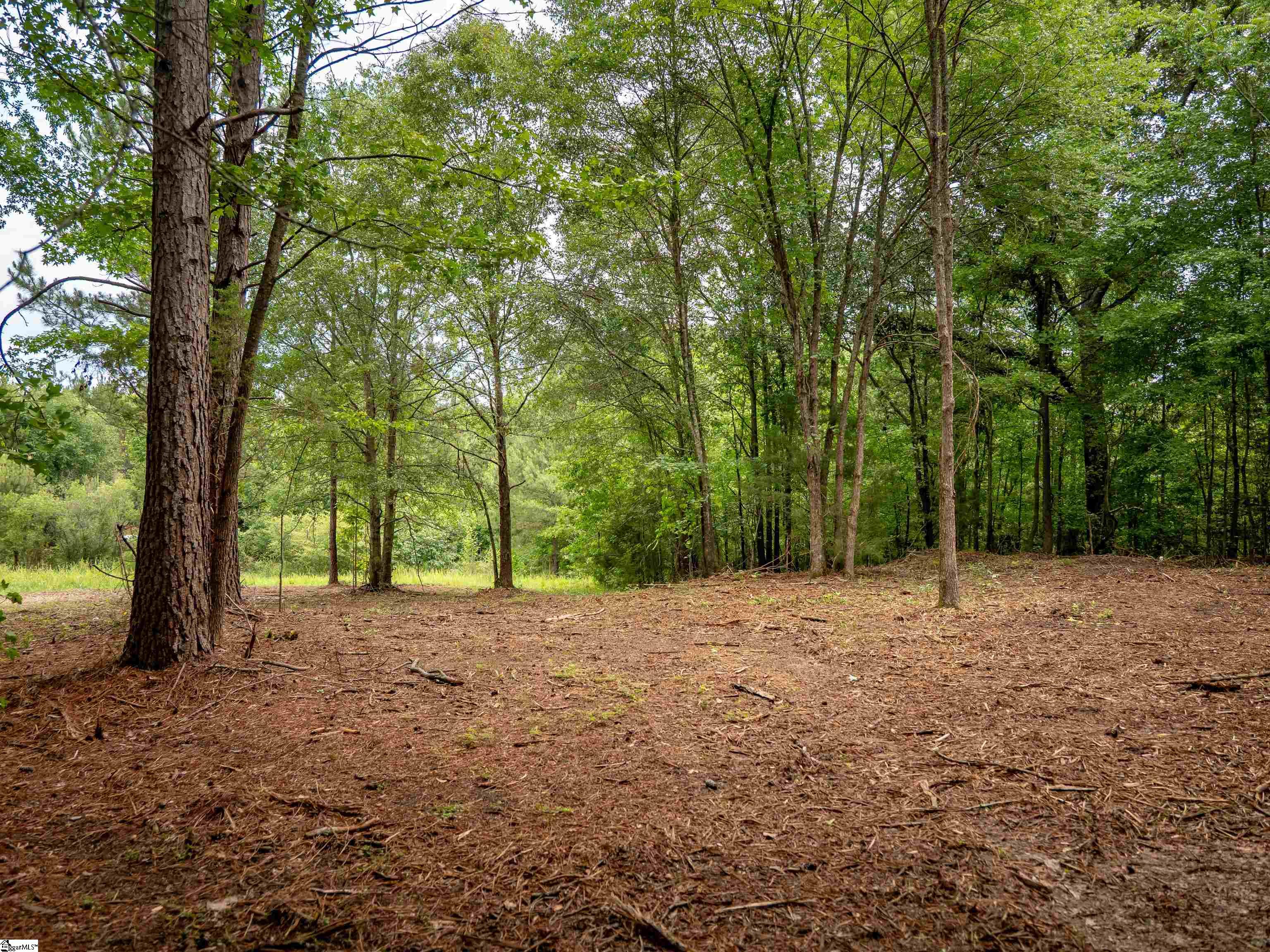 00 Terry Road UNIT Lot 7 Fountain Inn, SC 29644
