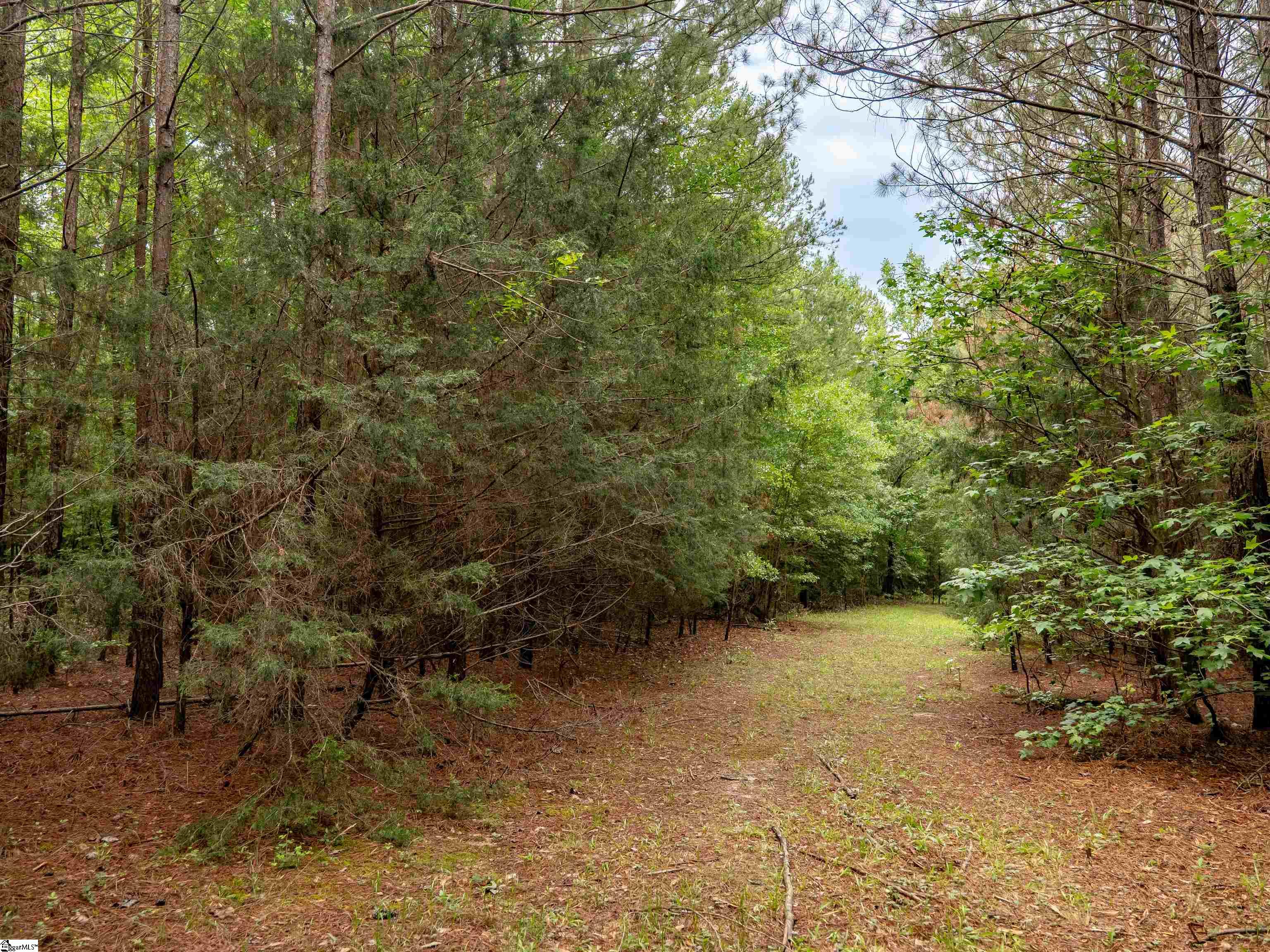 00 Terry Road UNIT Lot 7 Fountain Inn, SC 29644