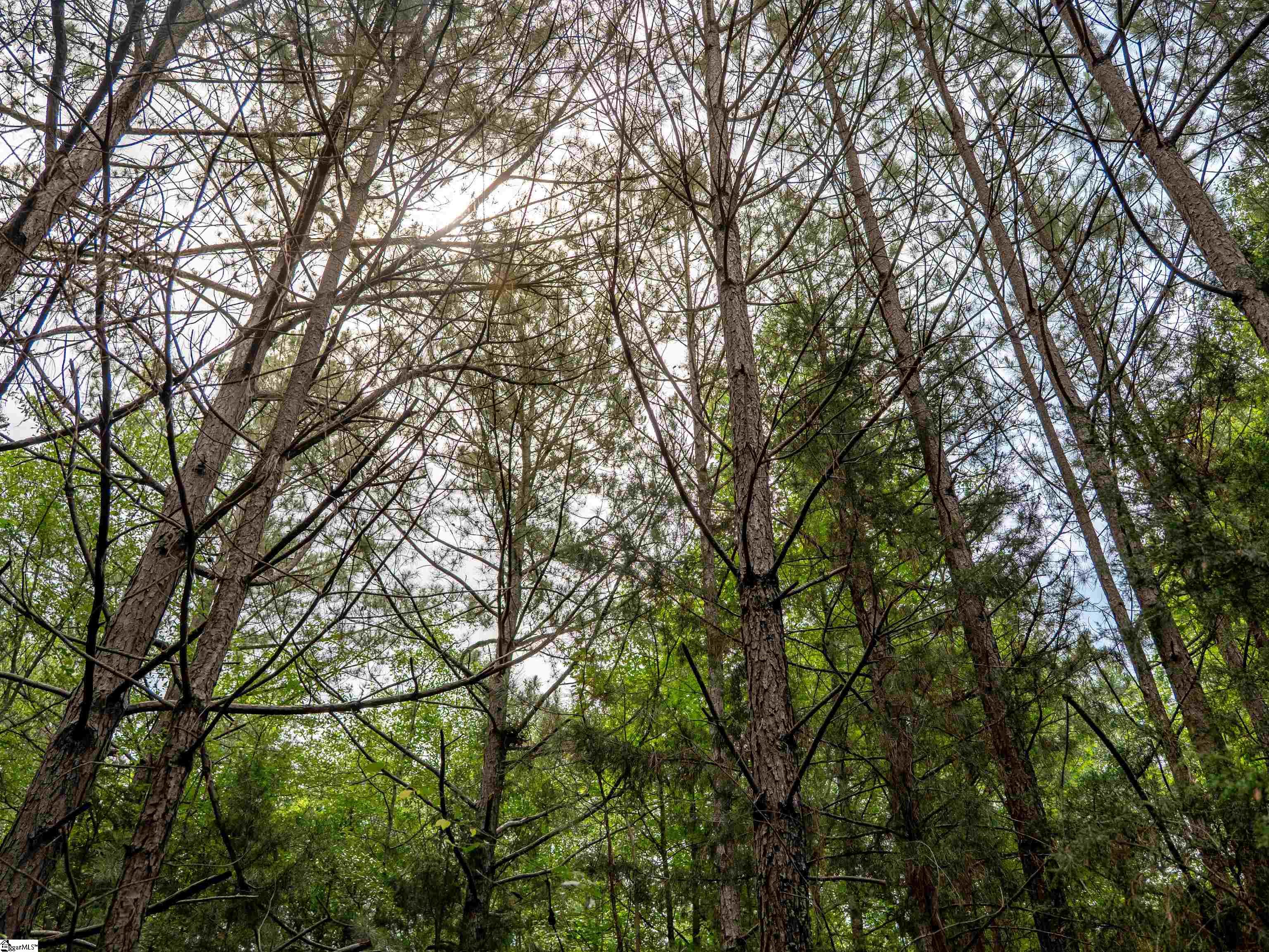 00 Terry Road UNIT Lot 7 Fountain Inn, SC 29644