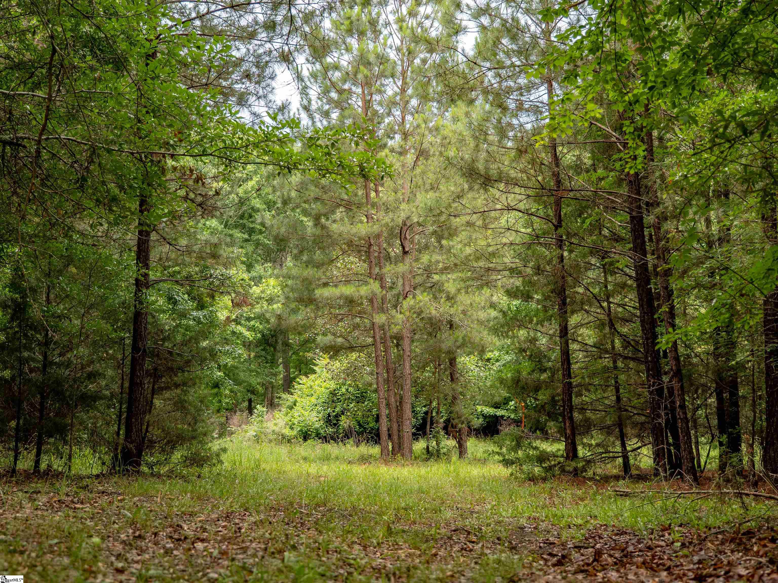 00 Terry Road UNIT Lot 7 Fountain Inn, SC 29644