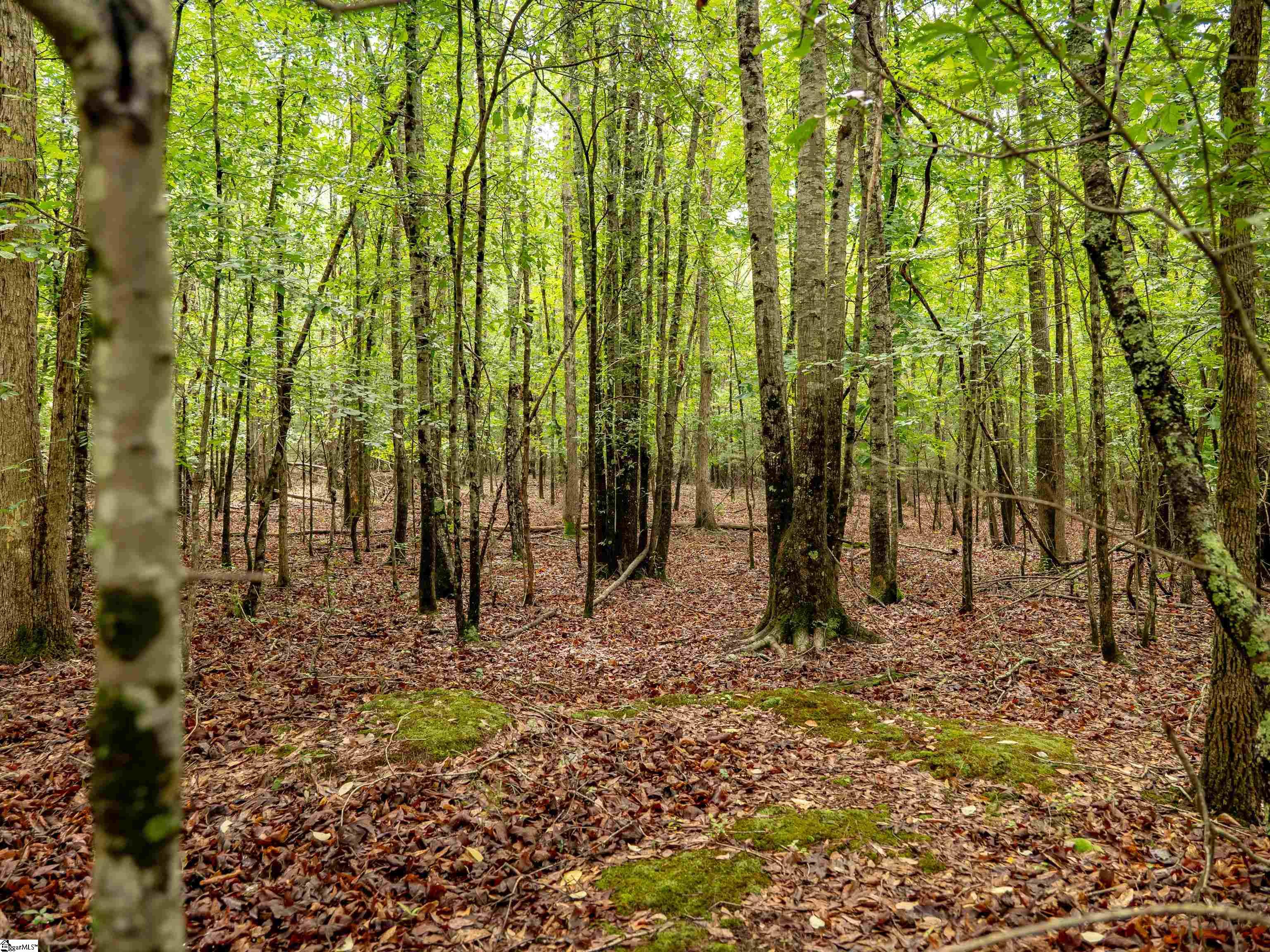 00 Terry Road UNIT Lot 7 Fountain Inn, SC 29644