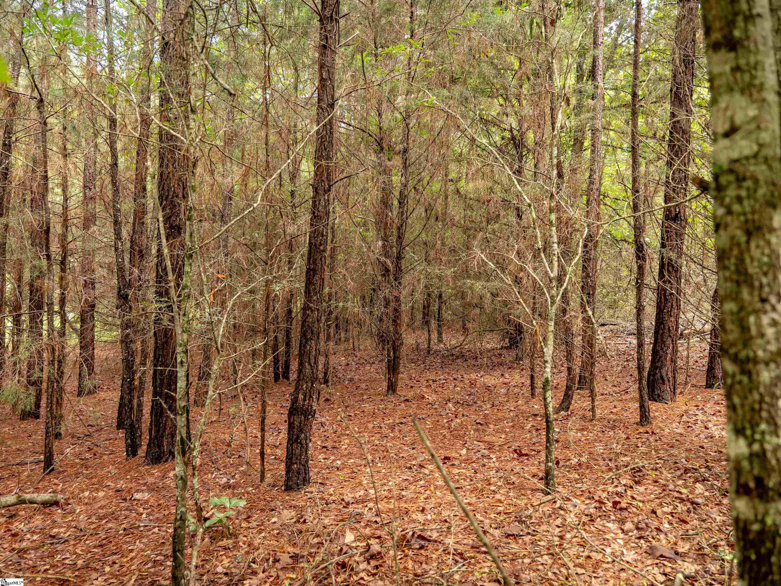 00 Terry Road UNIT Lot 7 Fountain Inn, SC 29644