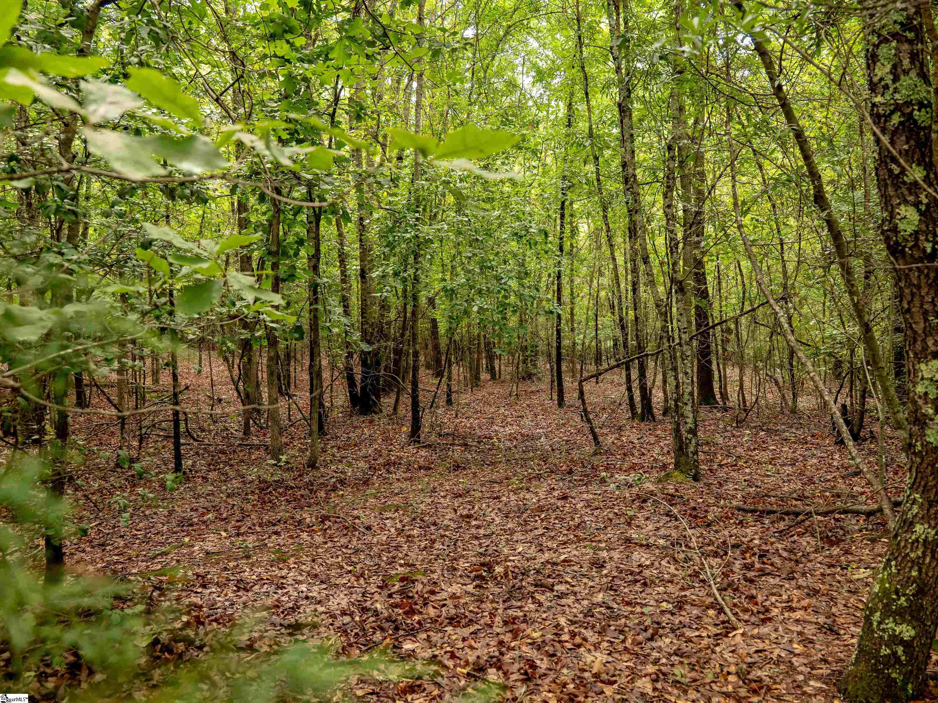 00 Terry Road UNIT Lot 7 Fountain Inn, SC 29644