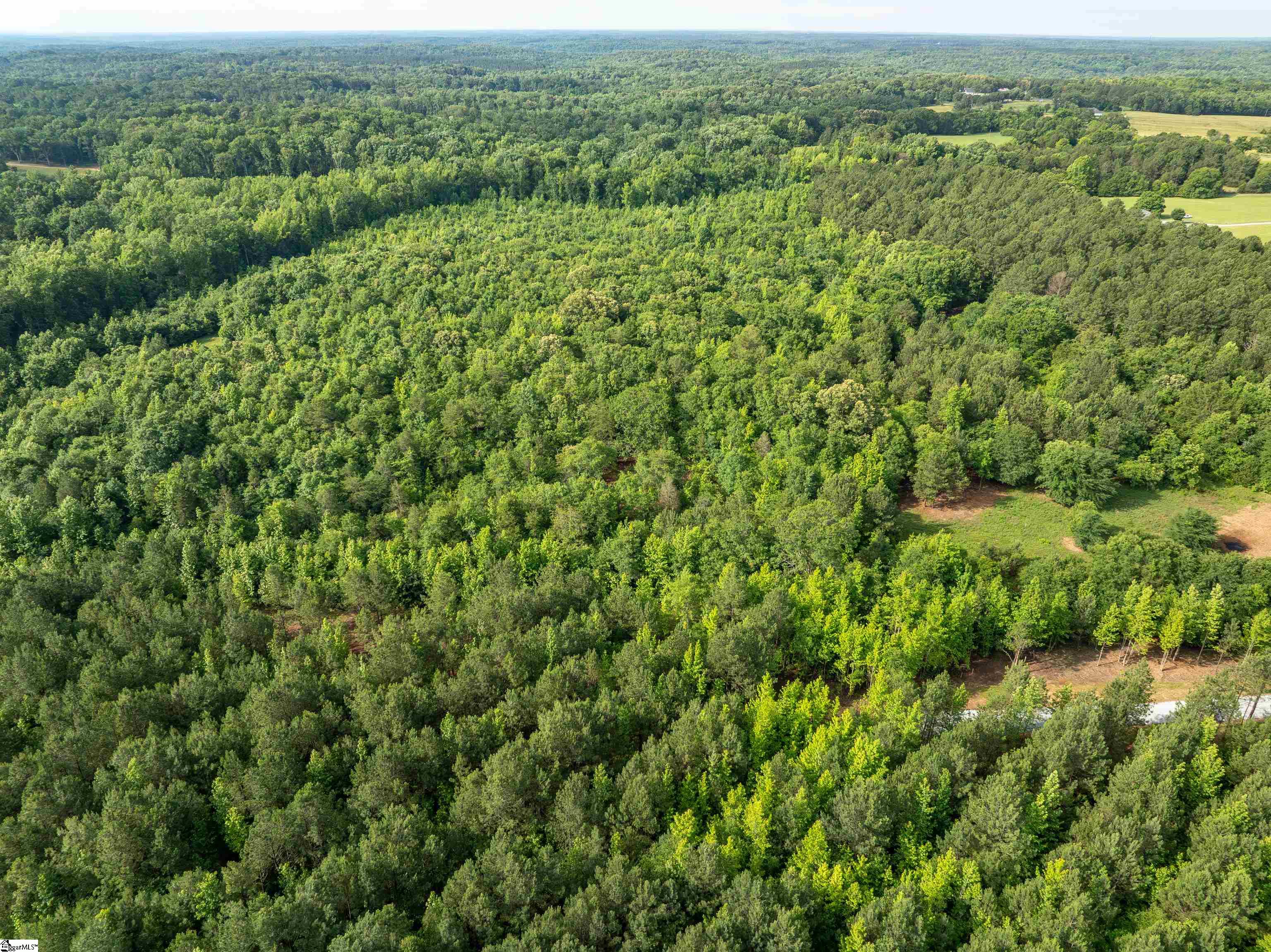 00 Terry Road UNIT Lot 7 Fountain Inn, SC 29644