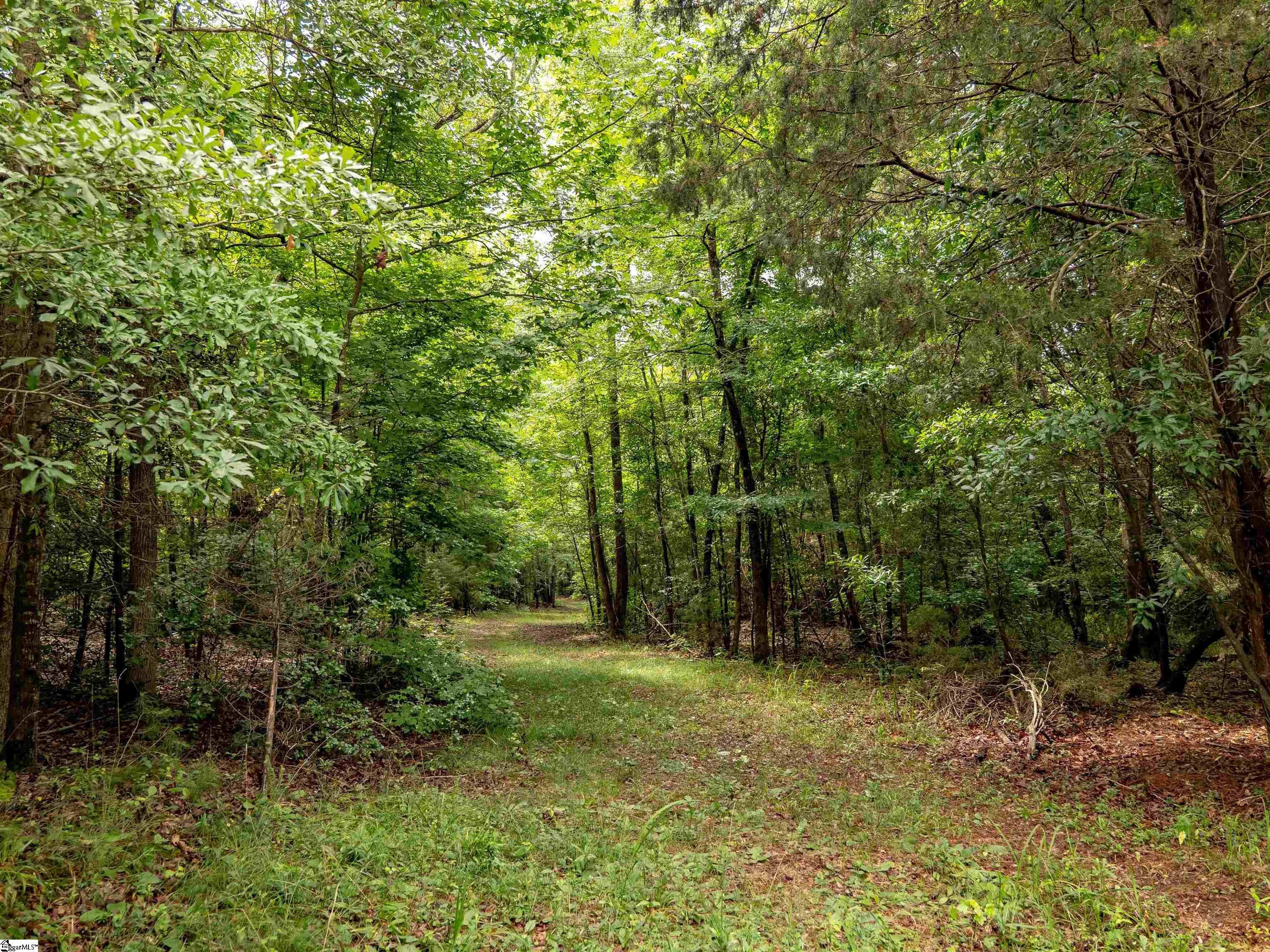 00 Terry Road UNIT Lot 7 Fountain Inn, SC 29644