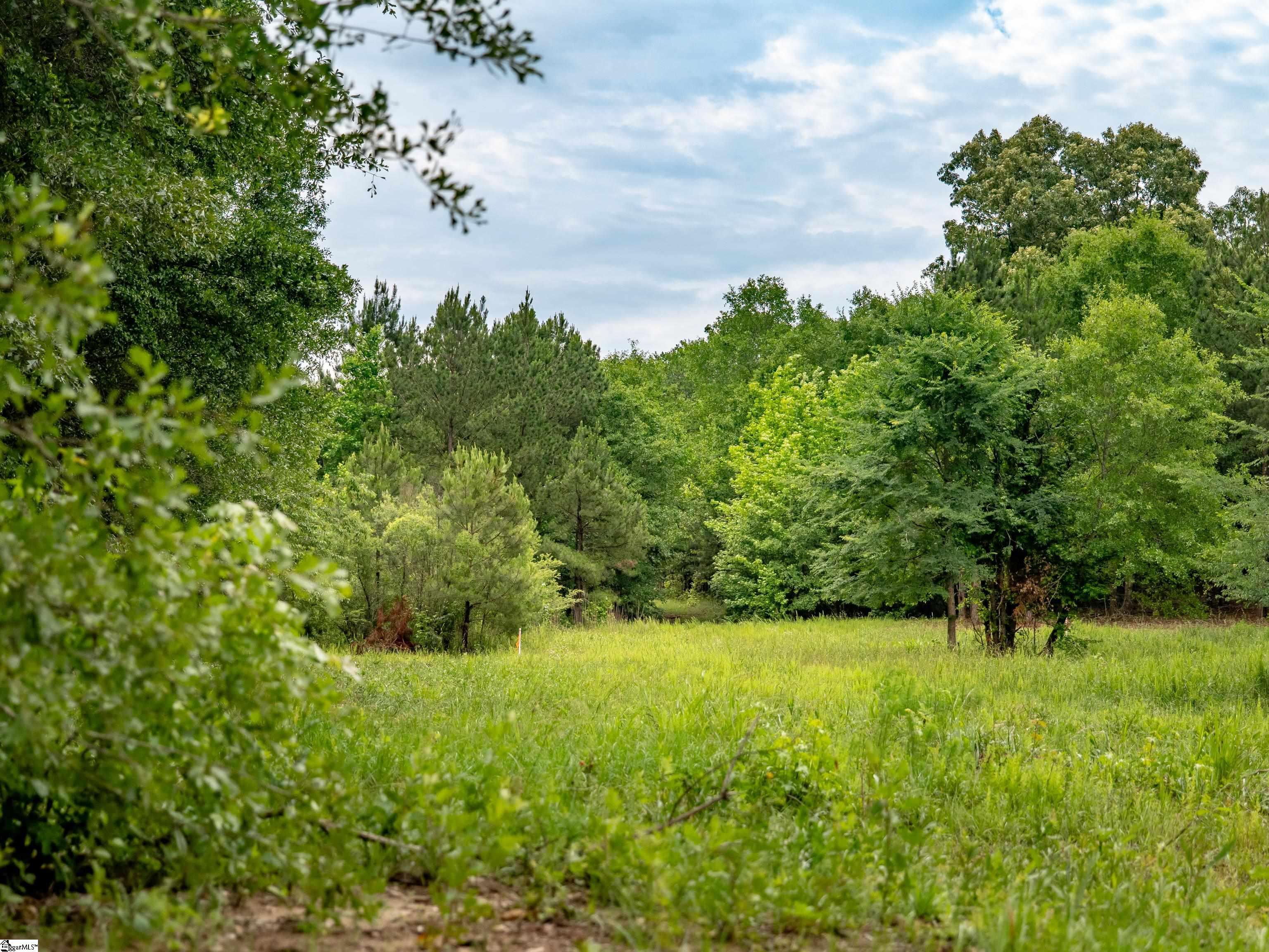 00 Terry Road UNIT Lot 8 Fountain Inn, SC 29644