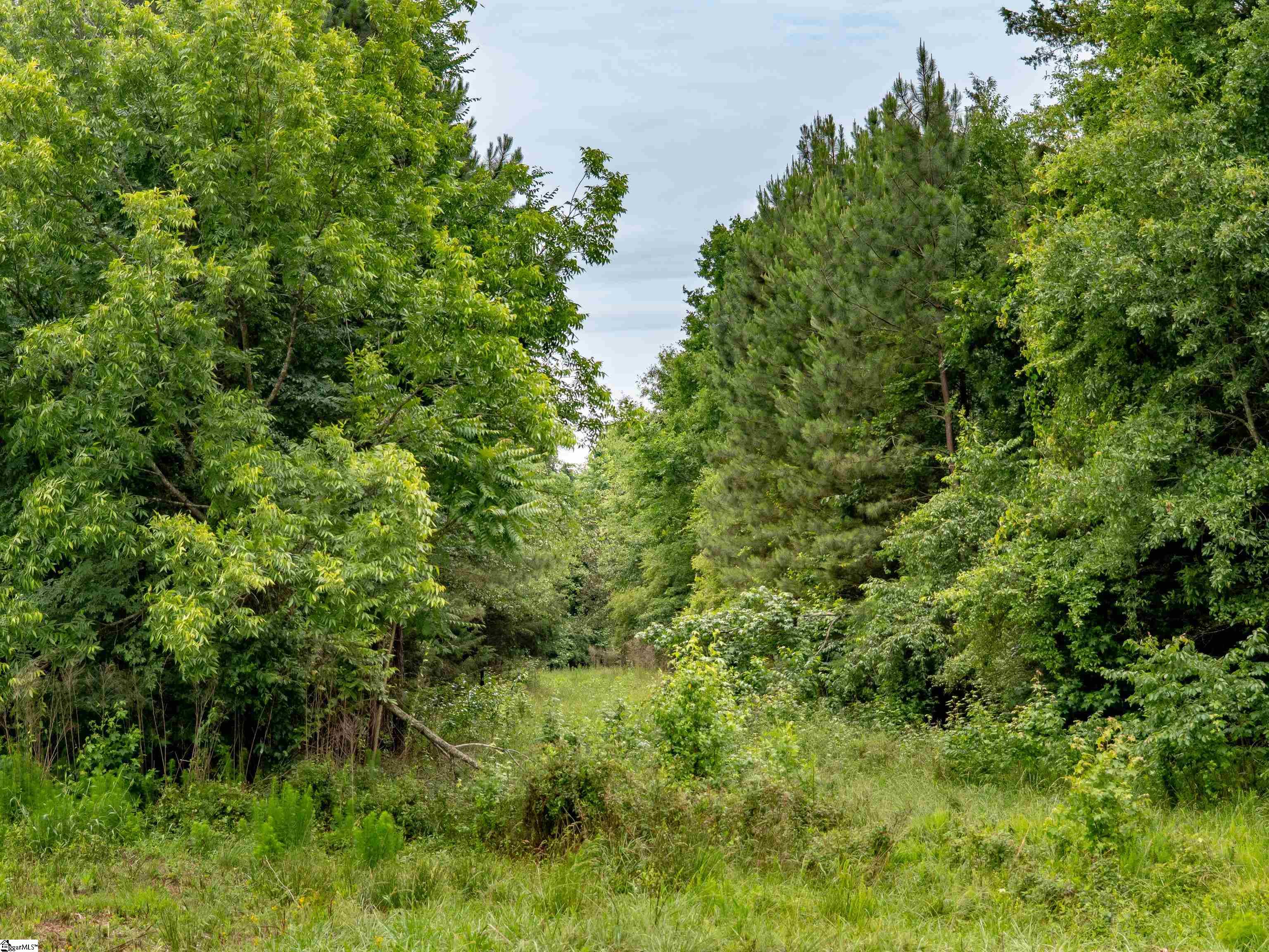 00 Terry Road UNIT Lot 8 Fountain Inn, SC 29644