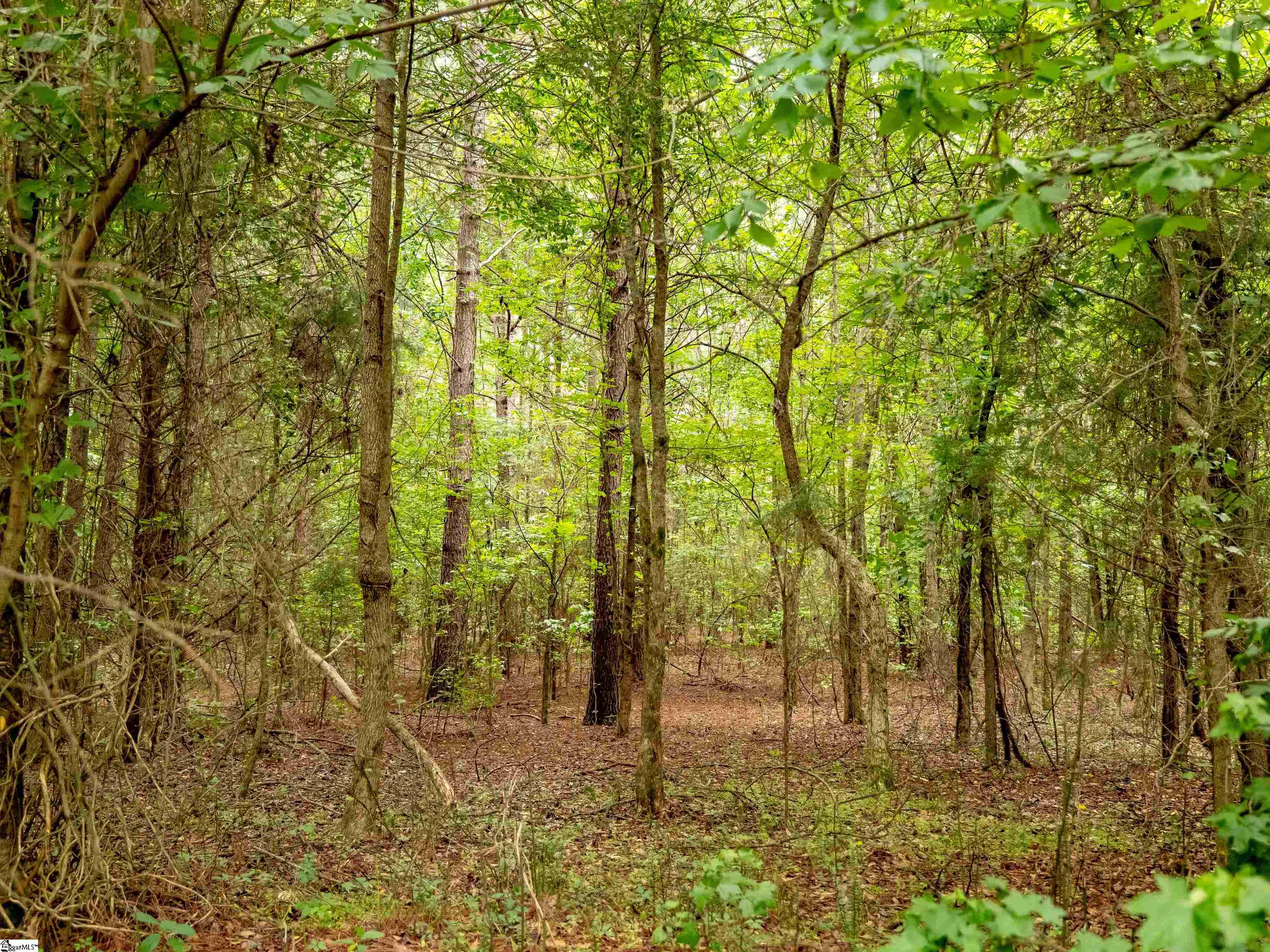00 Terry Road UNIT Lot 8 Fountain Inn, SC 29644