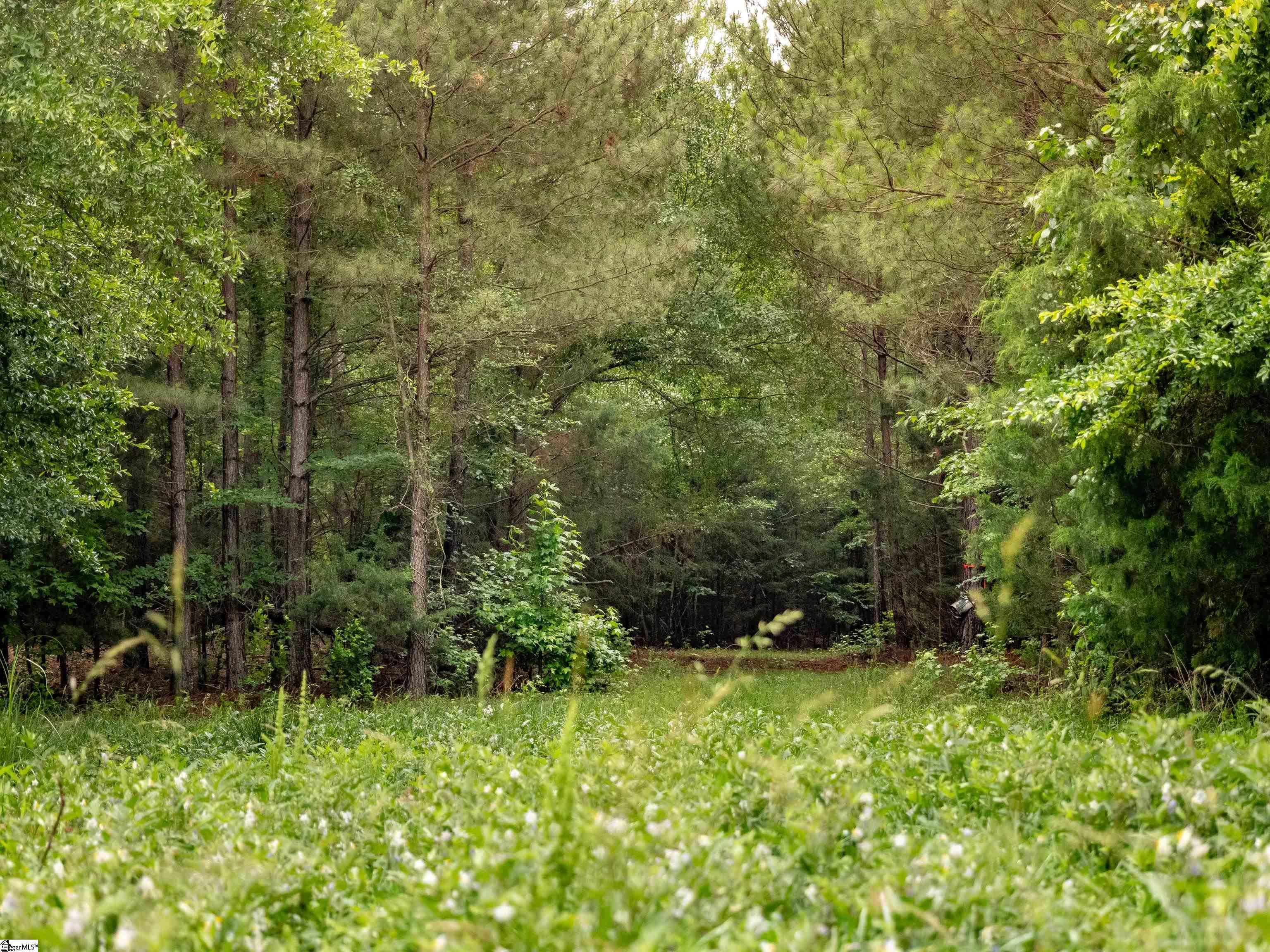 00 Terry Road UNIT Lot 8 Fountain Inn, SC 29644