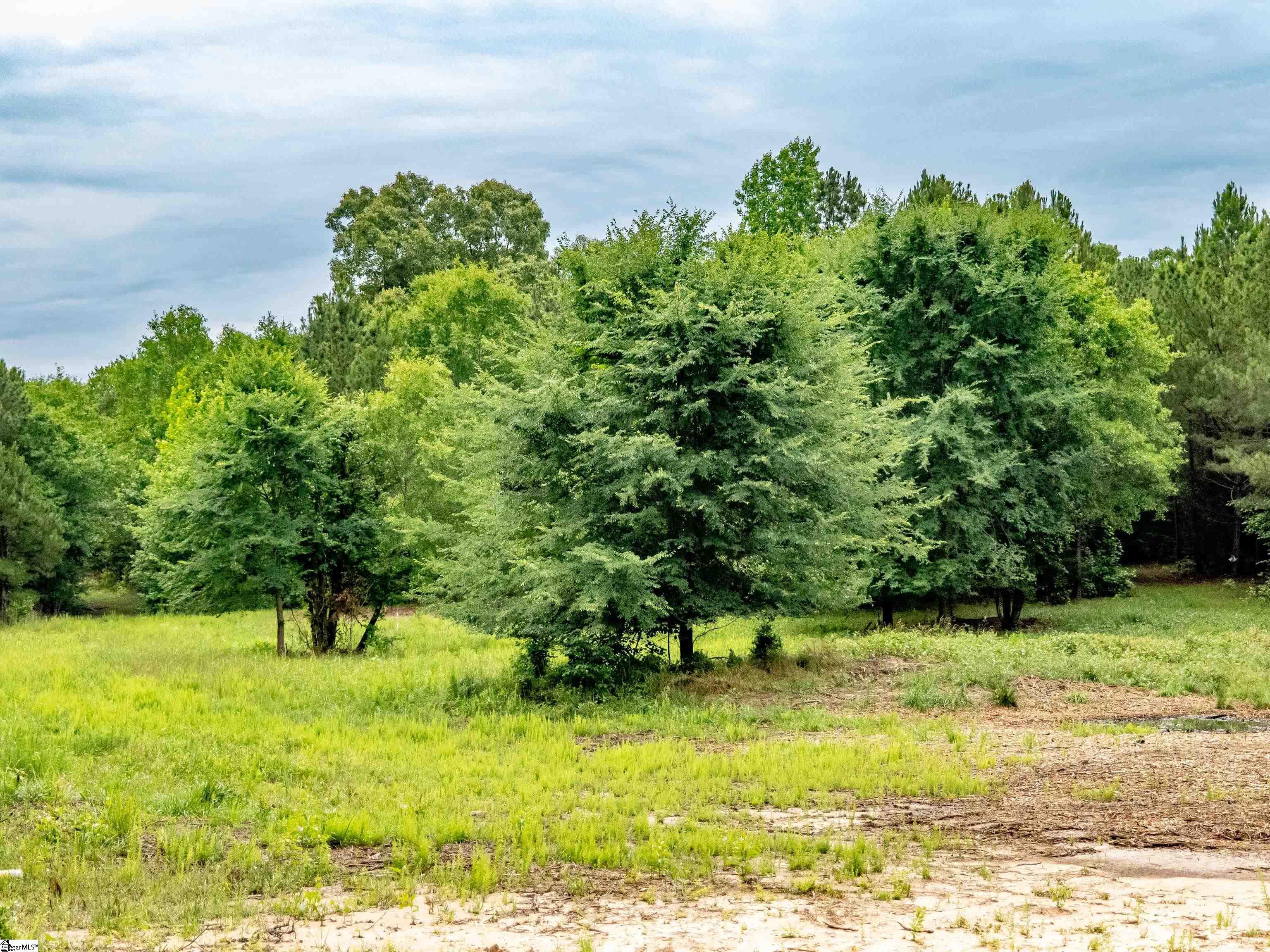 00 Terry Road UNIT Lot 8 Fountain Inn, SC 29644