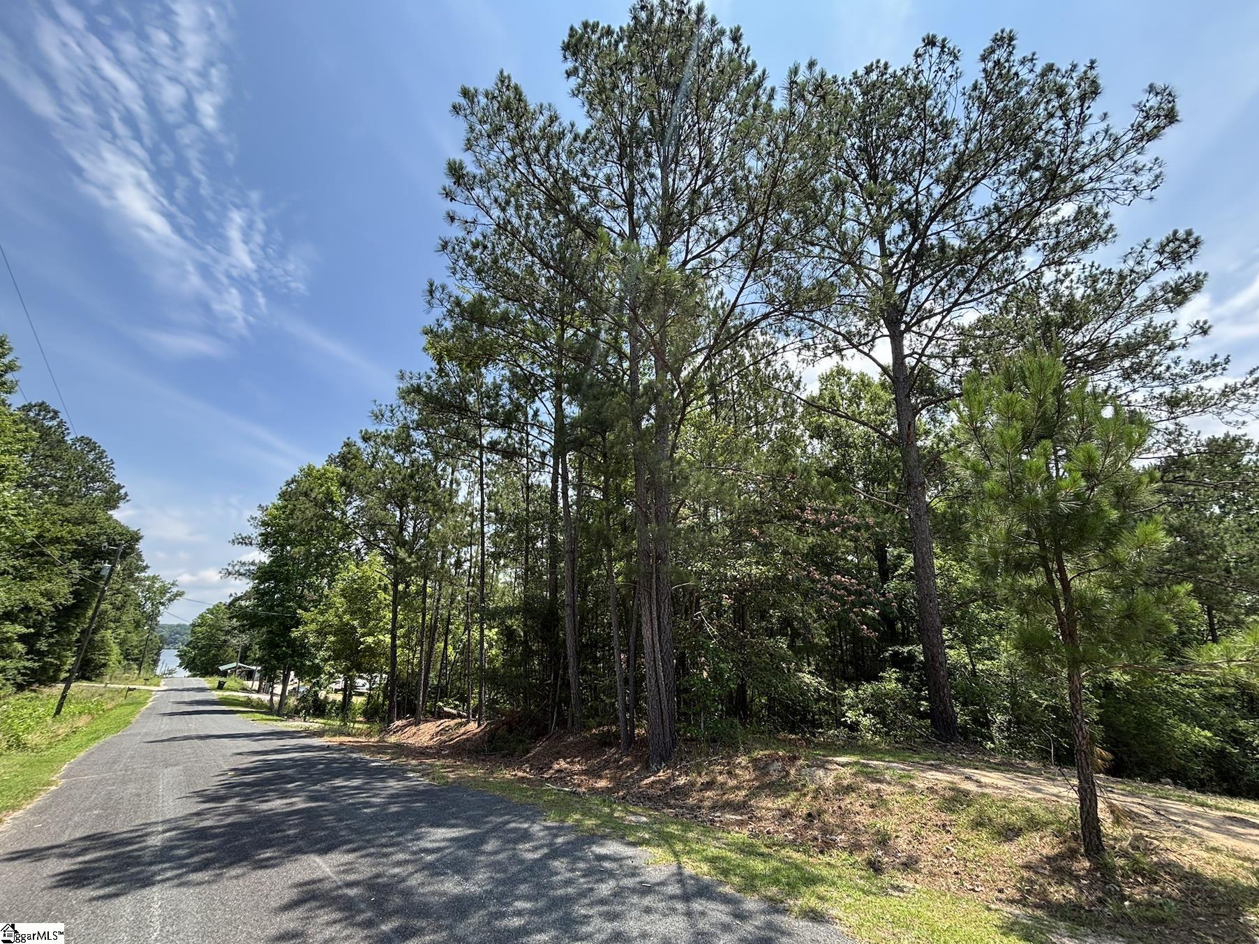 00 Serene Drive Waterloo, SC 29384