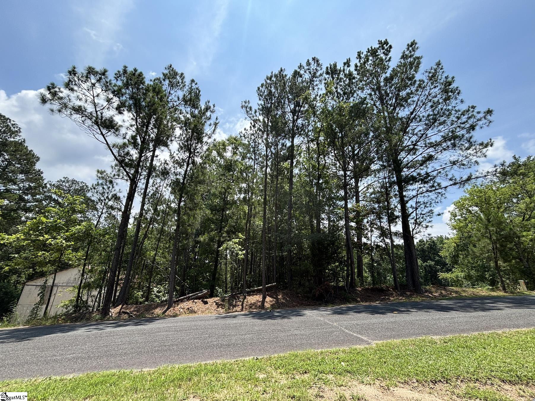 00 Serene Drive Waterloo, SC 29384