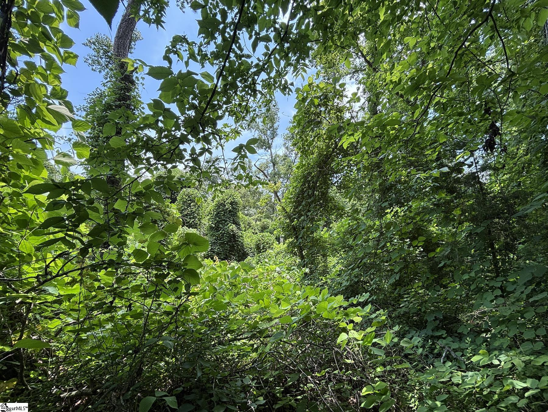 00 Serene Drive Waterloo, SC 29384