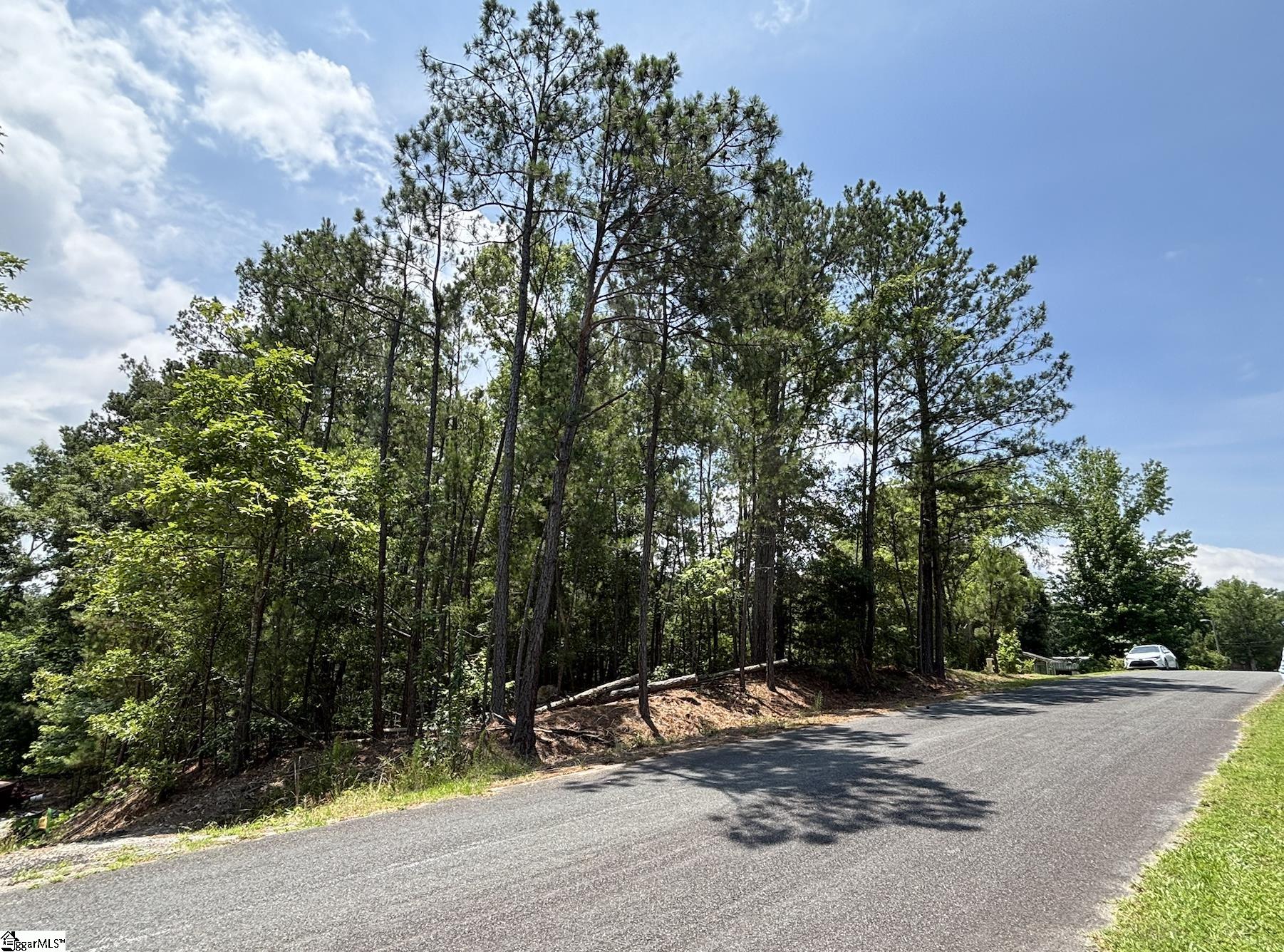 00 Serene Drive Waterloo, SC 29384