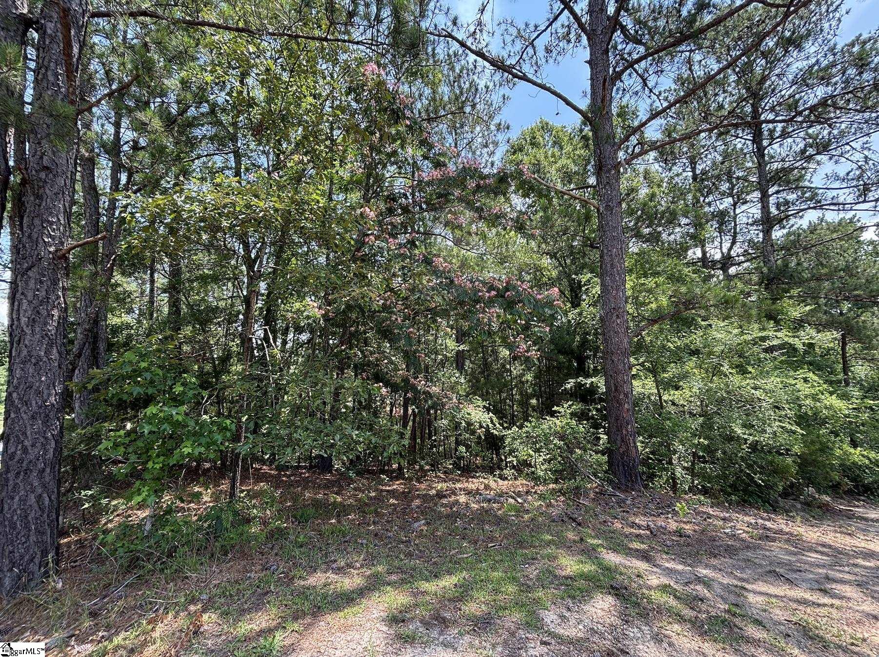00 Serene Drive Waterloo, SC 29384